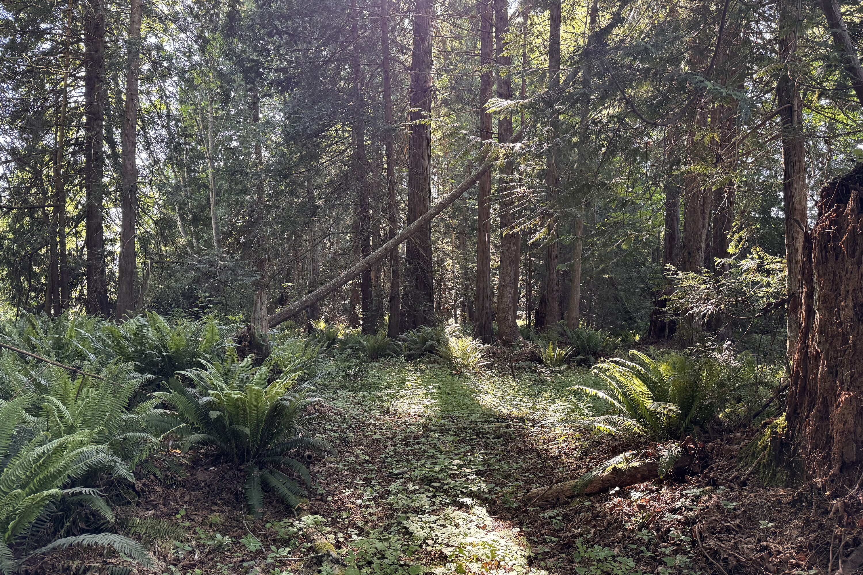  Sechelt, Sunshine Coast - 物件實景