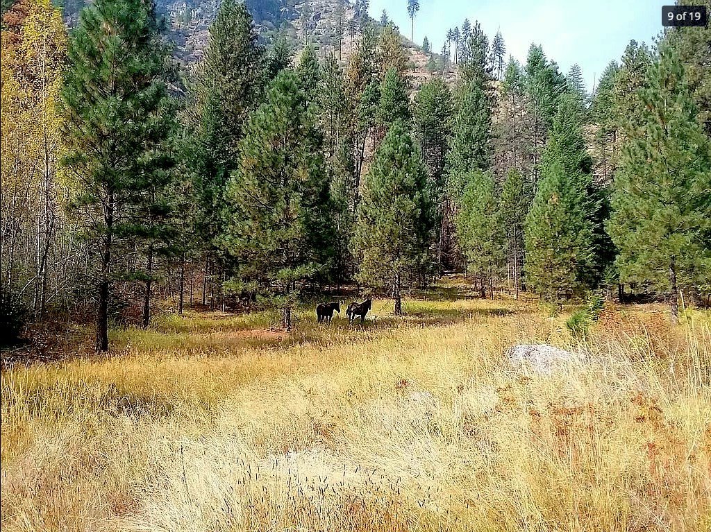 Riggins, Idaho, 83549, United States, 1 Bedroom Bedrooms, ,Residential,For Sale,1762926