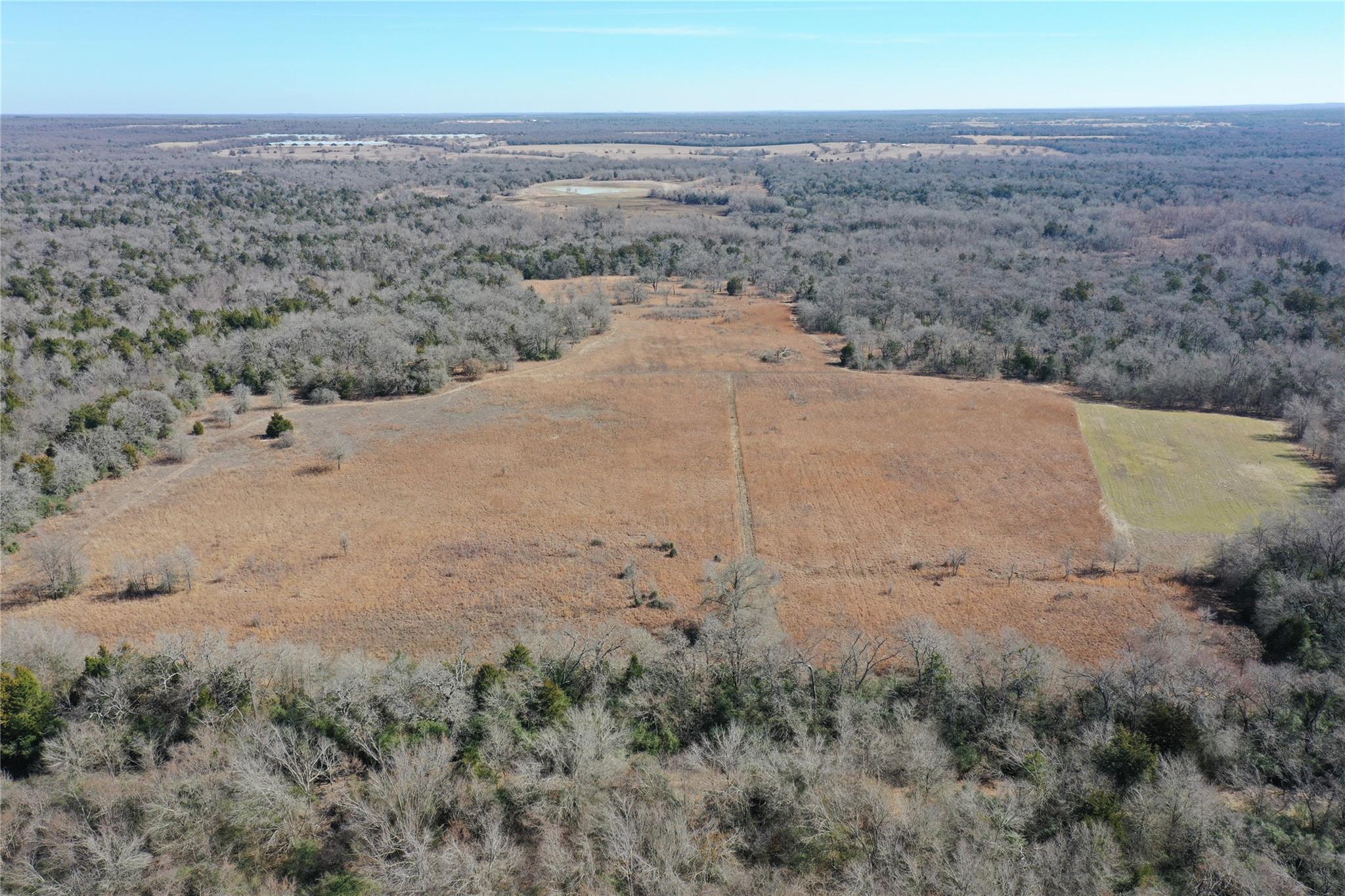 1151 Fowler Road, Bremond, Texas, 76629, United States, ,Land,For Sale,1151 Fowler Road,1621605