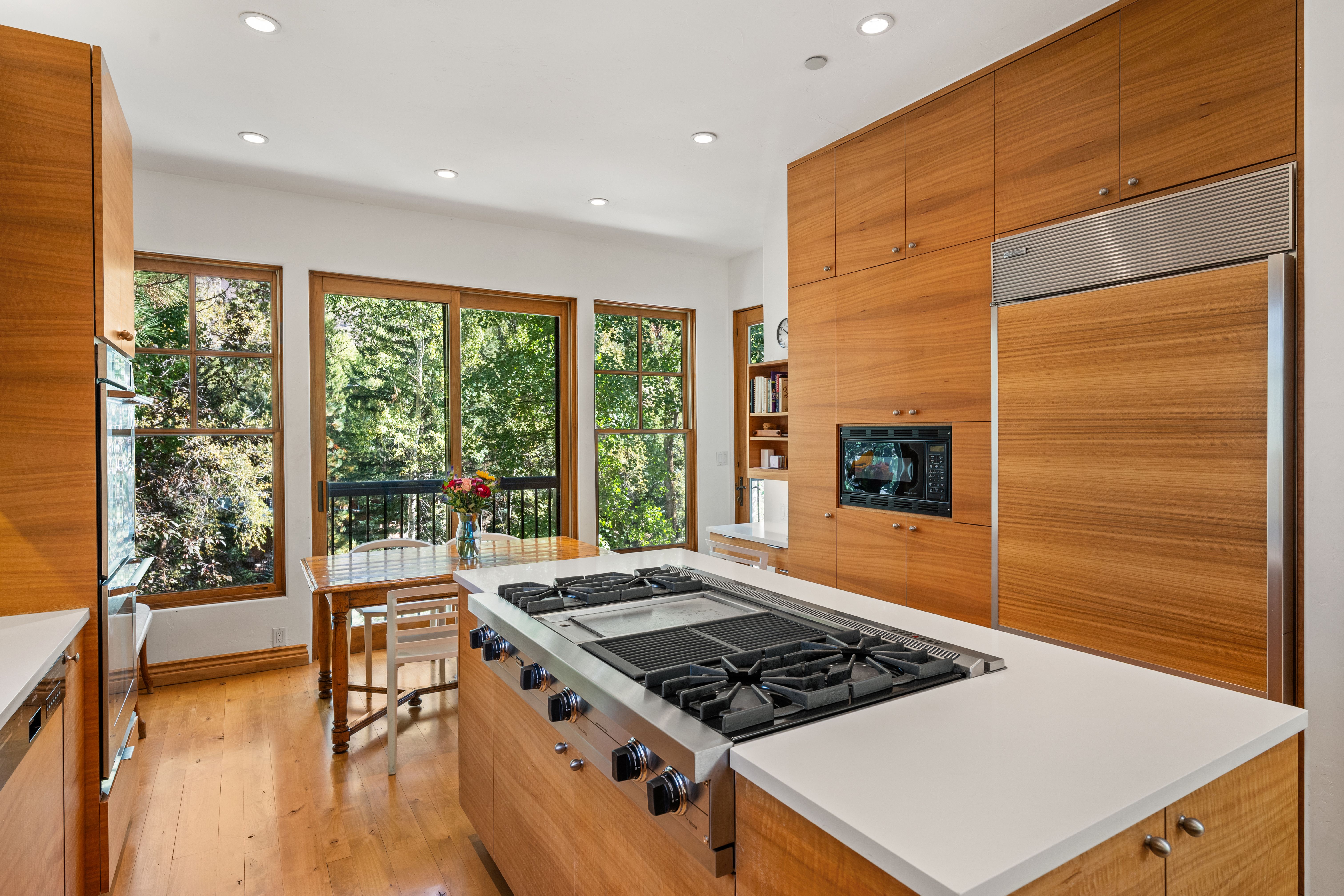  960 E Hopkins Avenue, Aspen, CO, 81611 - 物件實景