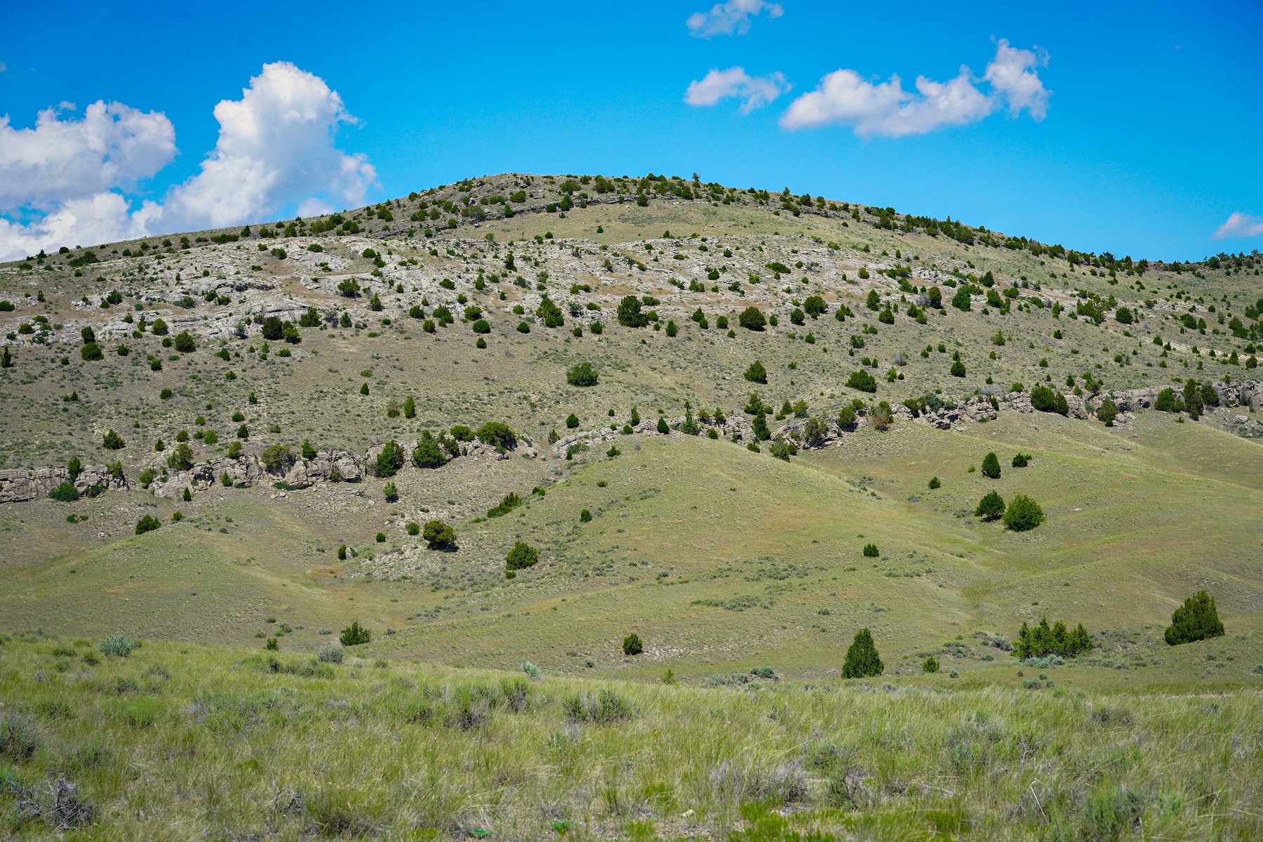 Lot 33 & 39 Gallatin River Ranch - 物件實景