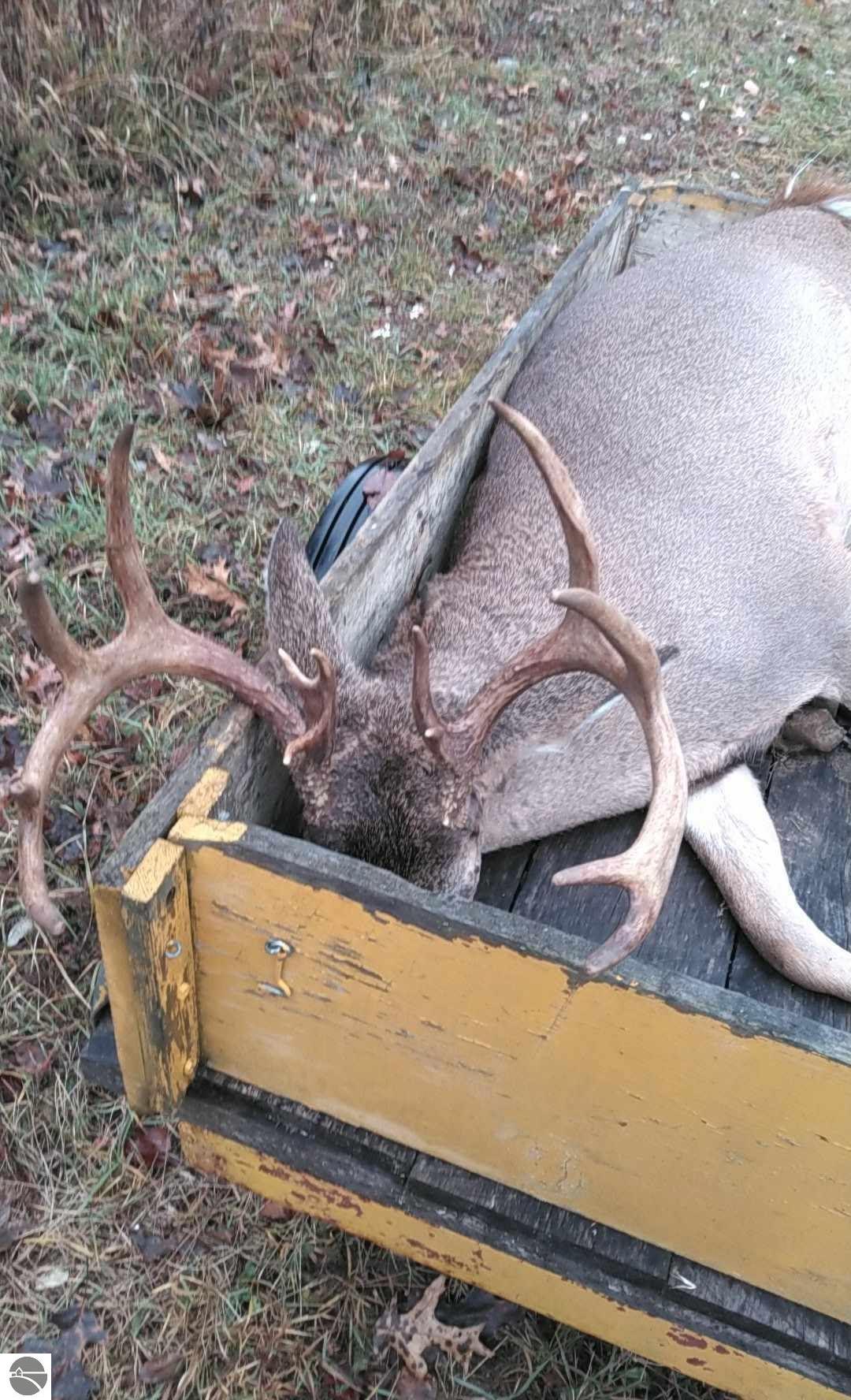 Vestaburg, Michigan, 48891, United States, 6 Bedrooms Bedrooms, ,3 BathroomsBathrooms,Residential,For Sale,1976935