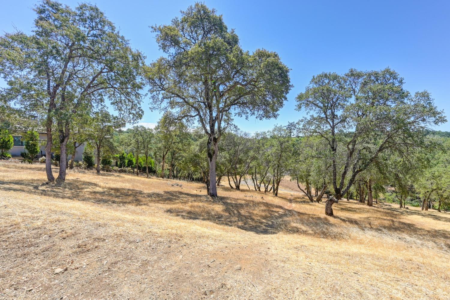 5211 Da Vinci Drive, El Dorado Hills, California, 95762, United States, ,Land,For Sale,5211 Da Vinci Drive,1573000