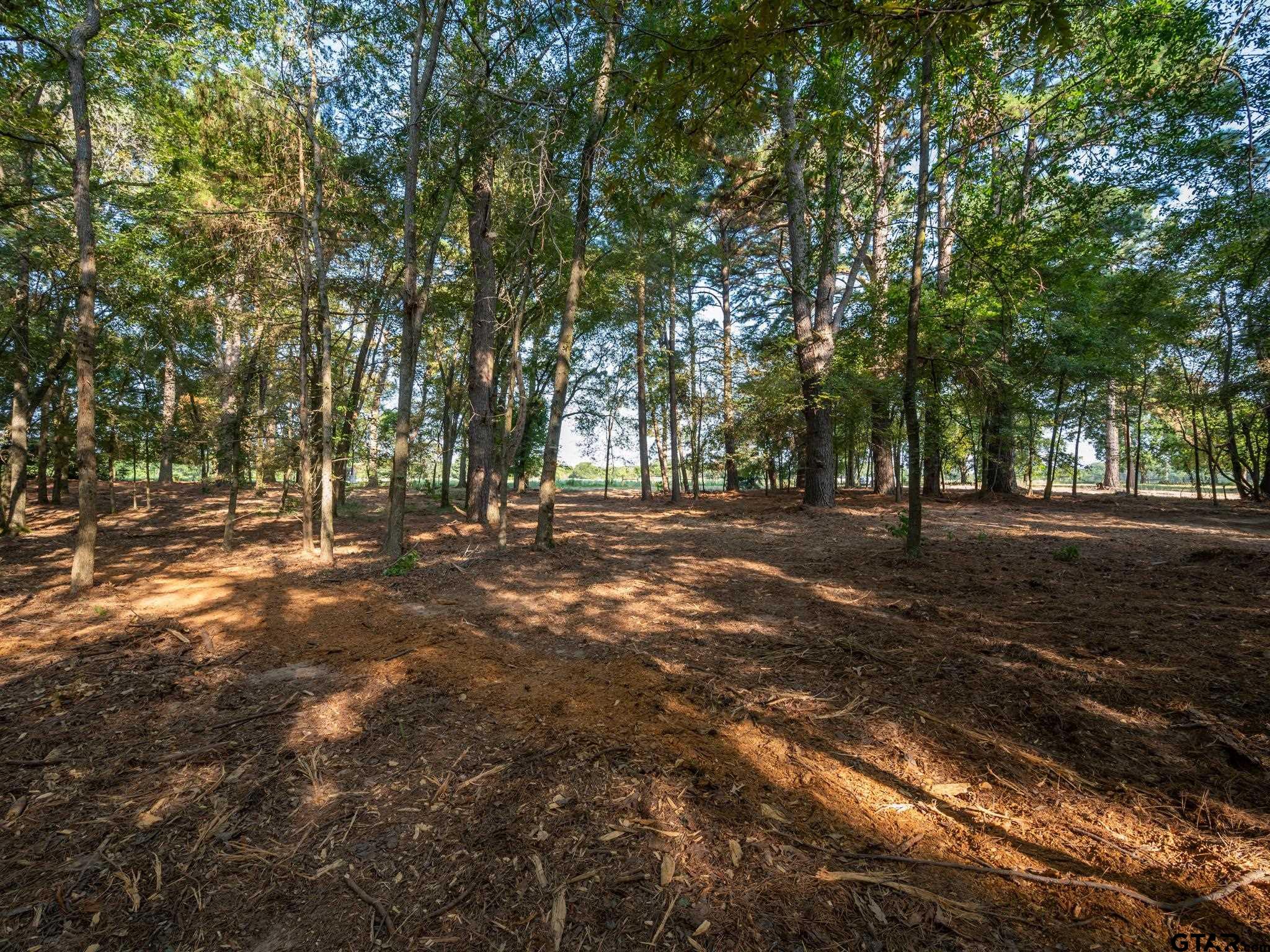 Chandler, Texas, 75758, United States, ,Land,For Sale,1826674