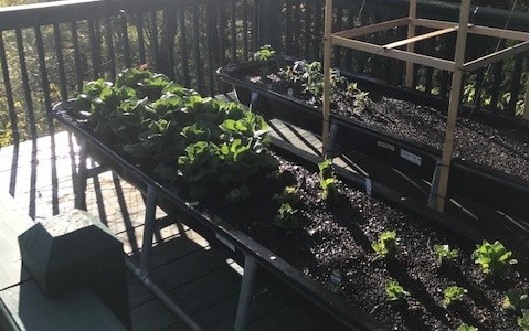 Hiawassee, Georgia, 30546, United States, 3 Bedrooms Bedrooms, ,3 BathroomsBathrooms,Residential,For Sale,1944603