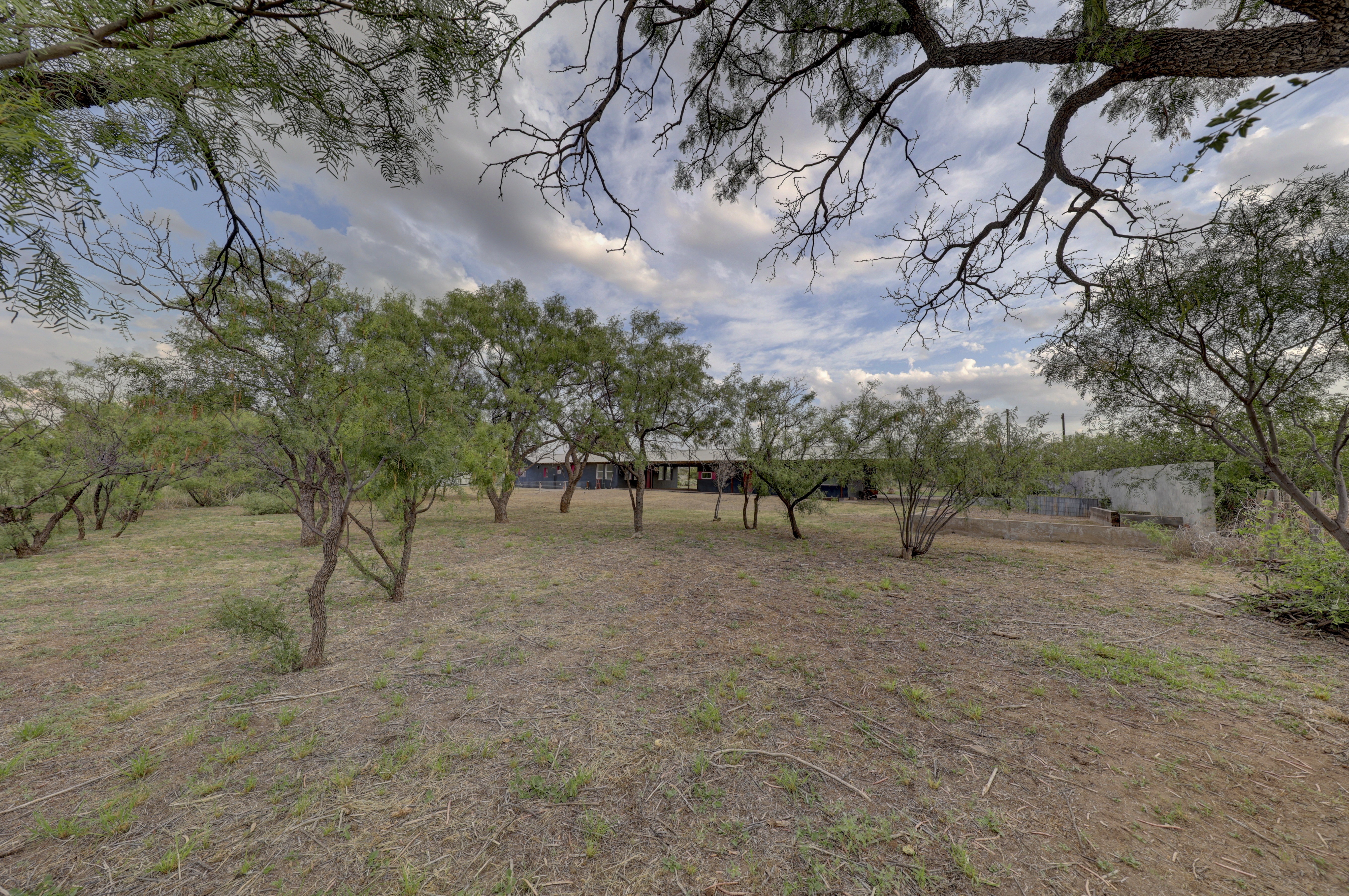  1011 West Washington Street, Marfa, TX 79843 - 物件實景