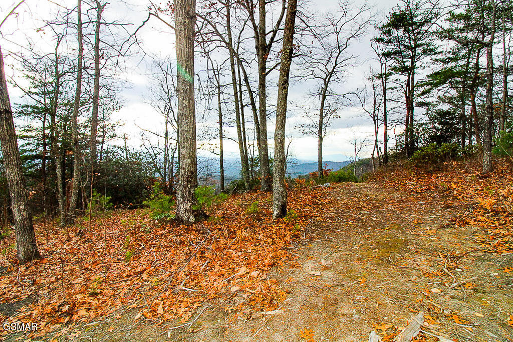 Sevierville, Tennessee, 37876, United States, ,Land,For Sale,2008093