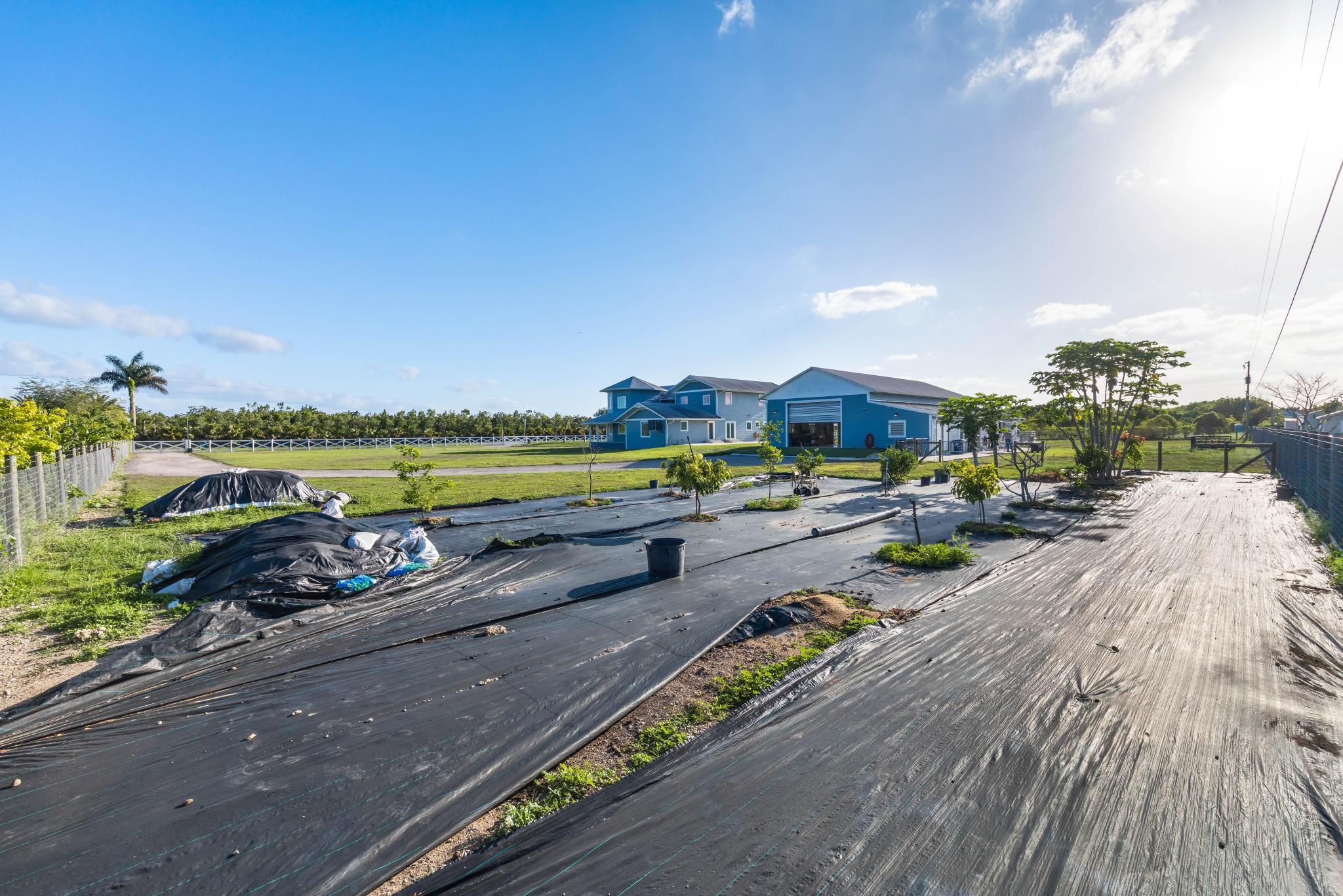  22275 SW 256th St, Homestead, FL, 33031 - 物件實景