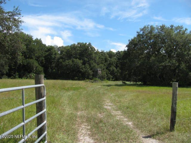 Crescent City, Florida, 32112, United States, ,Land,For Sale,1974247