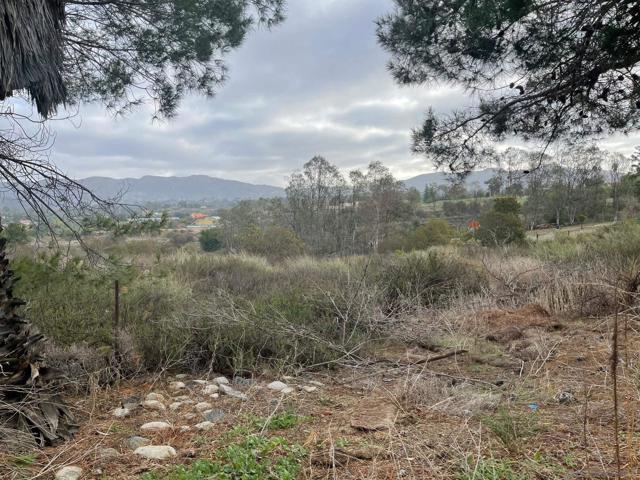 Jamul, California, 91935, United States, ,Land,For Sale,1974125