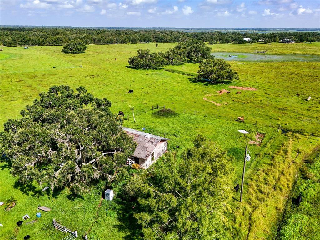 Myakka City, Florida, 34251, United States, ,Land,For Sale,1908306