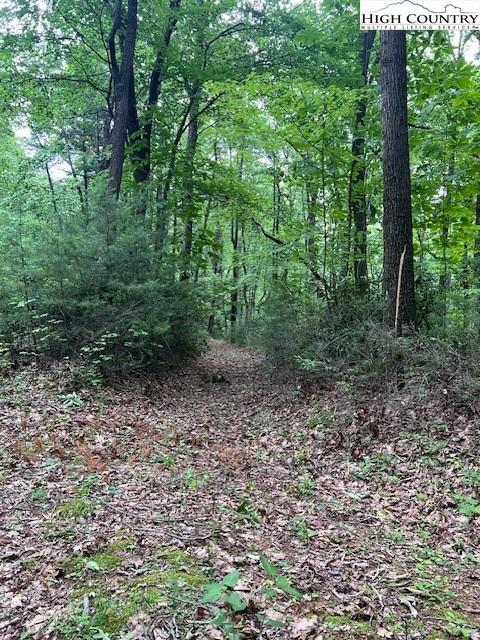 Purlear, North Carolina, 28665, United States, ,Land,For Sale,1990813