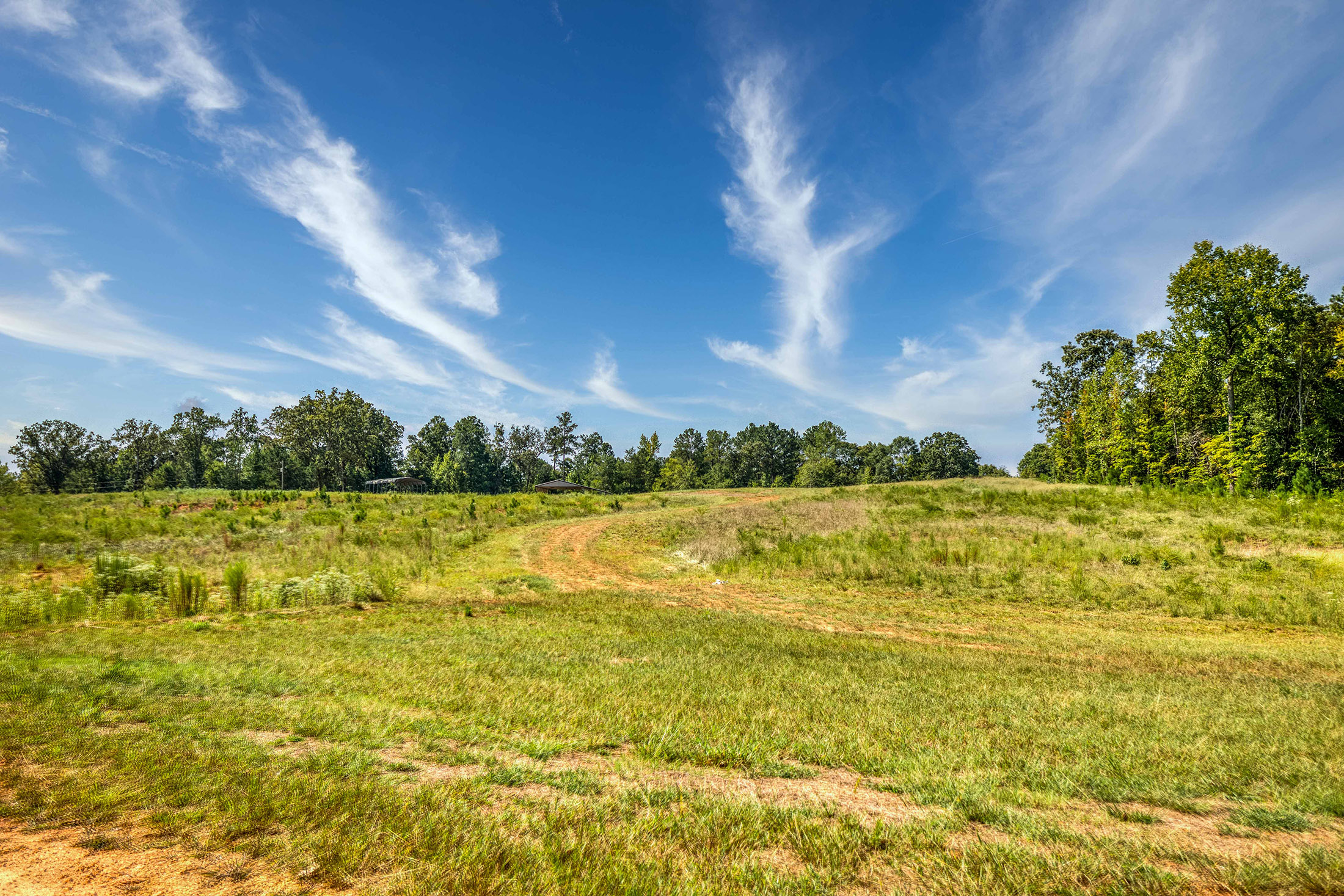  A Rare 158+/- Acre Retreat New Wire Park and Athens - 物件實景
