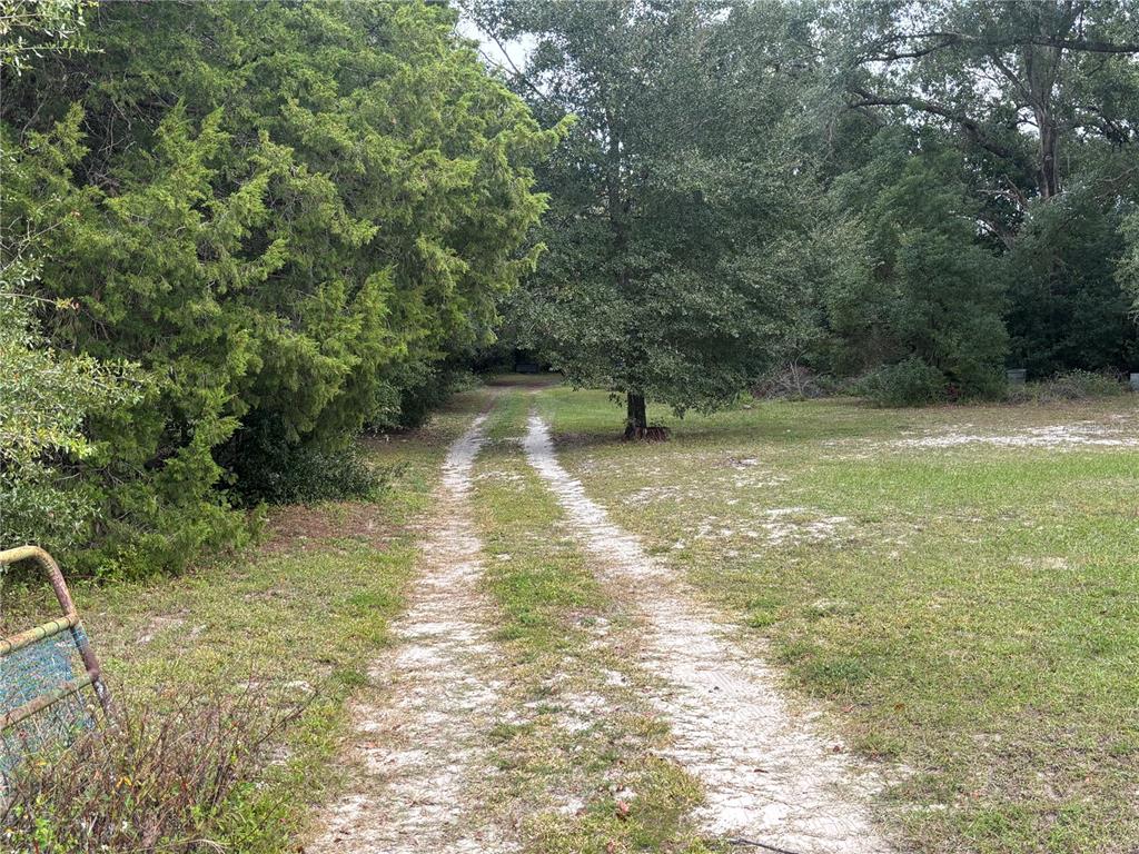 Apopka, Florida, 32712, United States, ,Land,For Sale,1998337