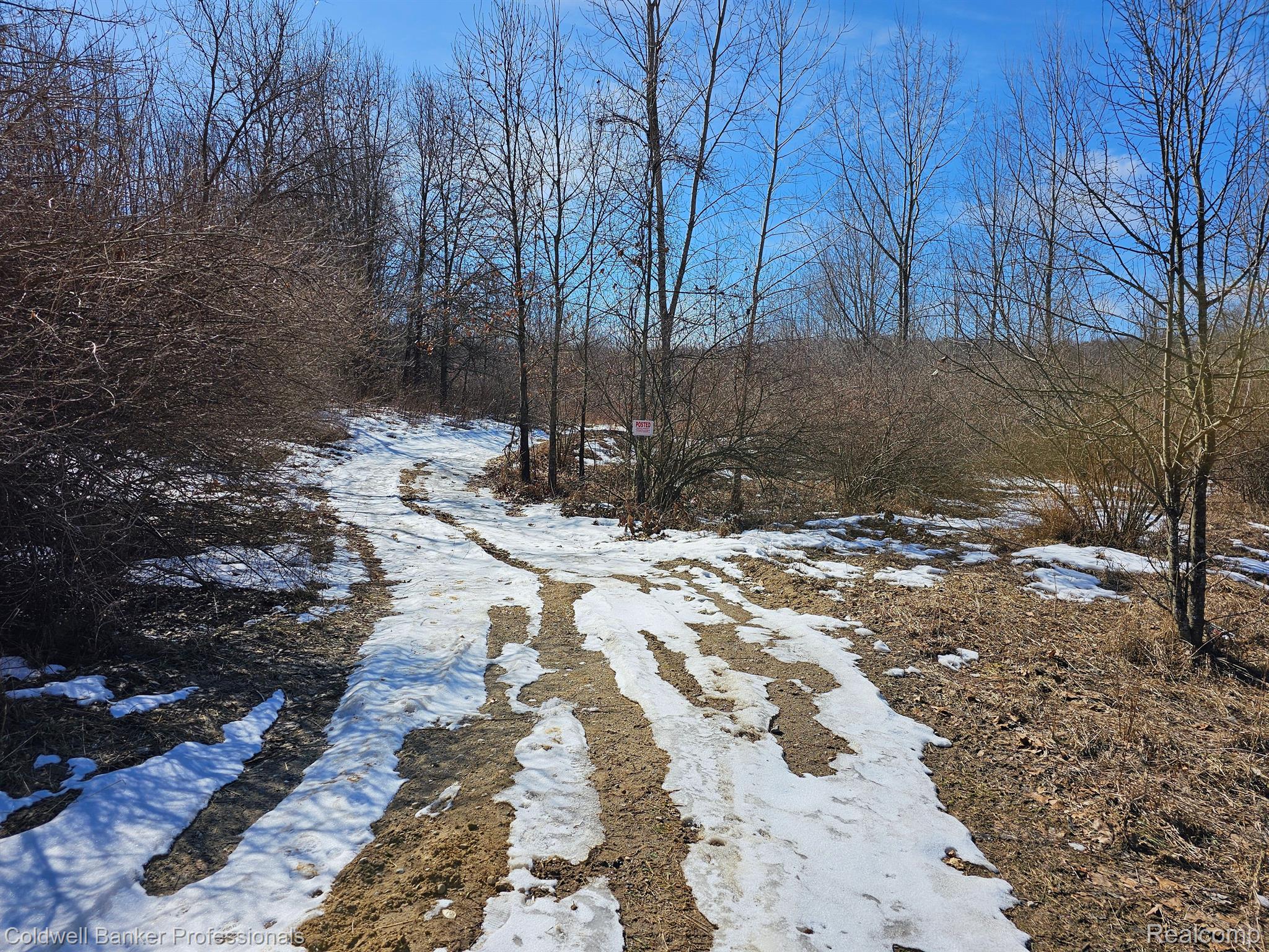 Metamora, Michigan, 48455, United States, ,Land,For Sale,1736755