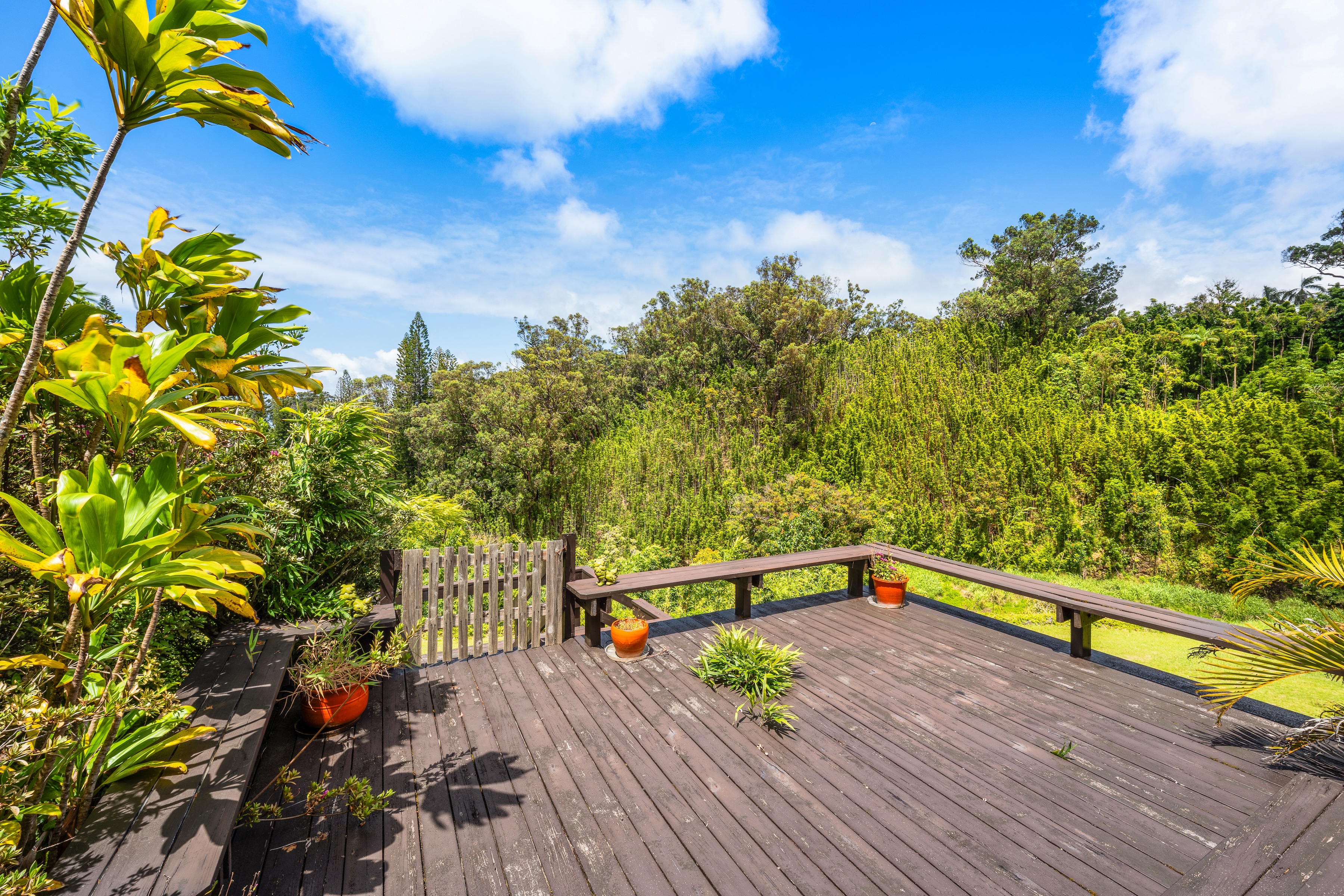  Architectural Haiku Retreat on Nearly 10 Private Acres - 物件實景