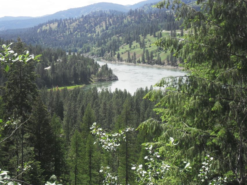 Northport, Washington, 99157, United States, ,Land,For Sale,1982244