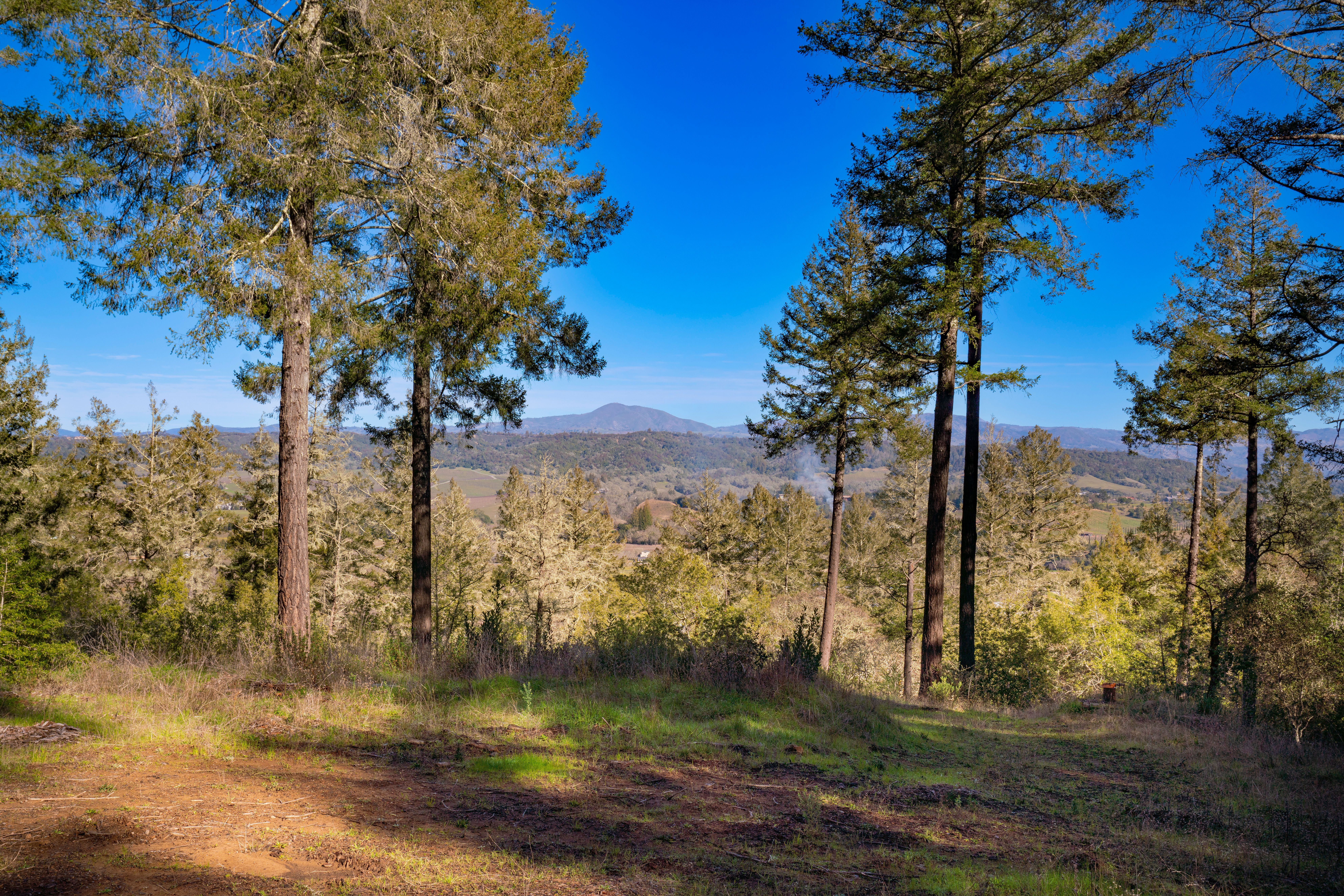  3210 West Dry Creek Road, Healdsburg, CA 95448 - 物件實景