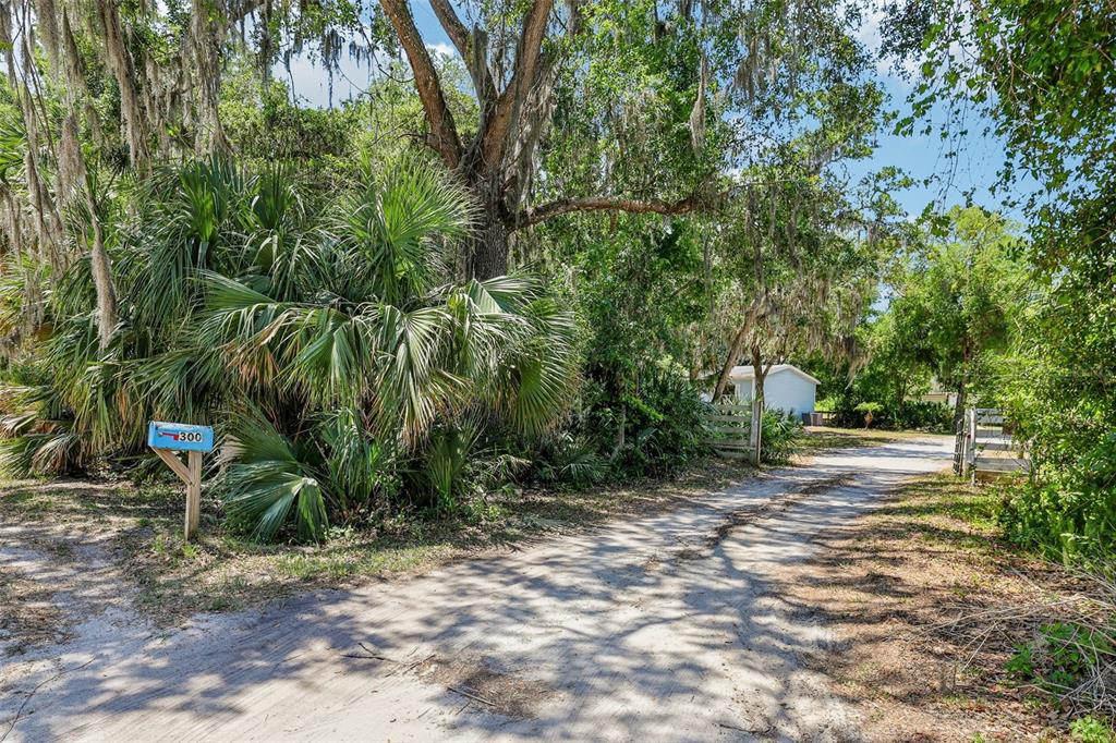Edgewater, Florida, 32132, United States, 5 Bedrooms Bedrooms, ,4 BathroomsBathrooms,Residential,For Sale,1794815