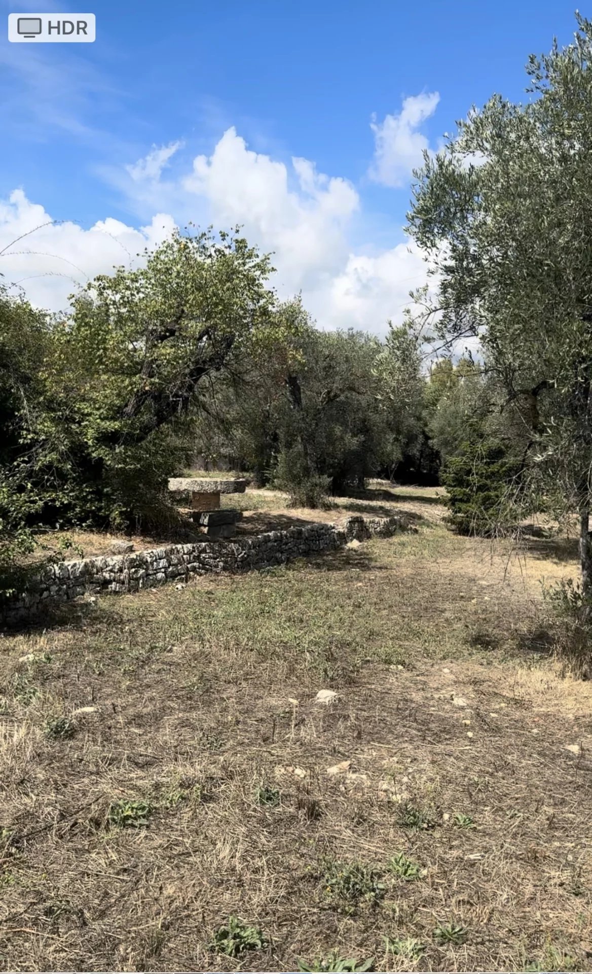 Valbonne, Provence-Alpes-Côte d’Azur, 06560, FR, ,Land,For Sale,1959024