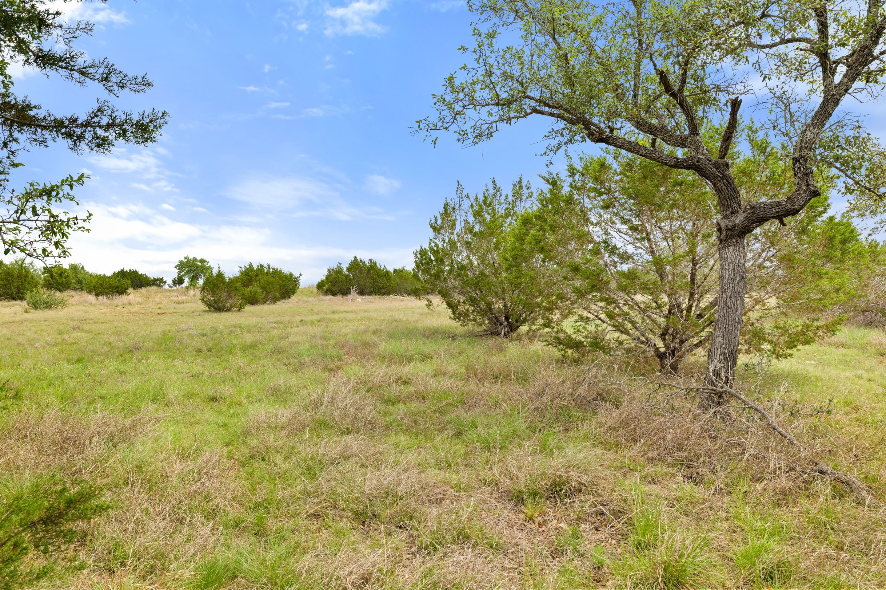  83 S Flat Rock Way - 5 Acre Lot in Gated Legacy Hills - 物件實景