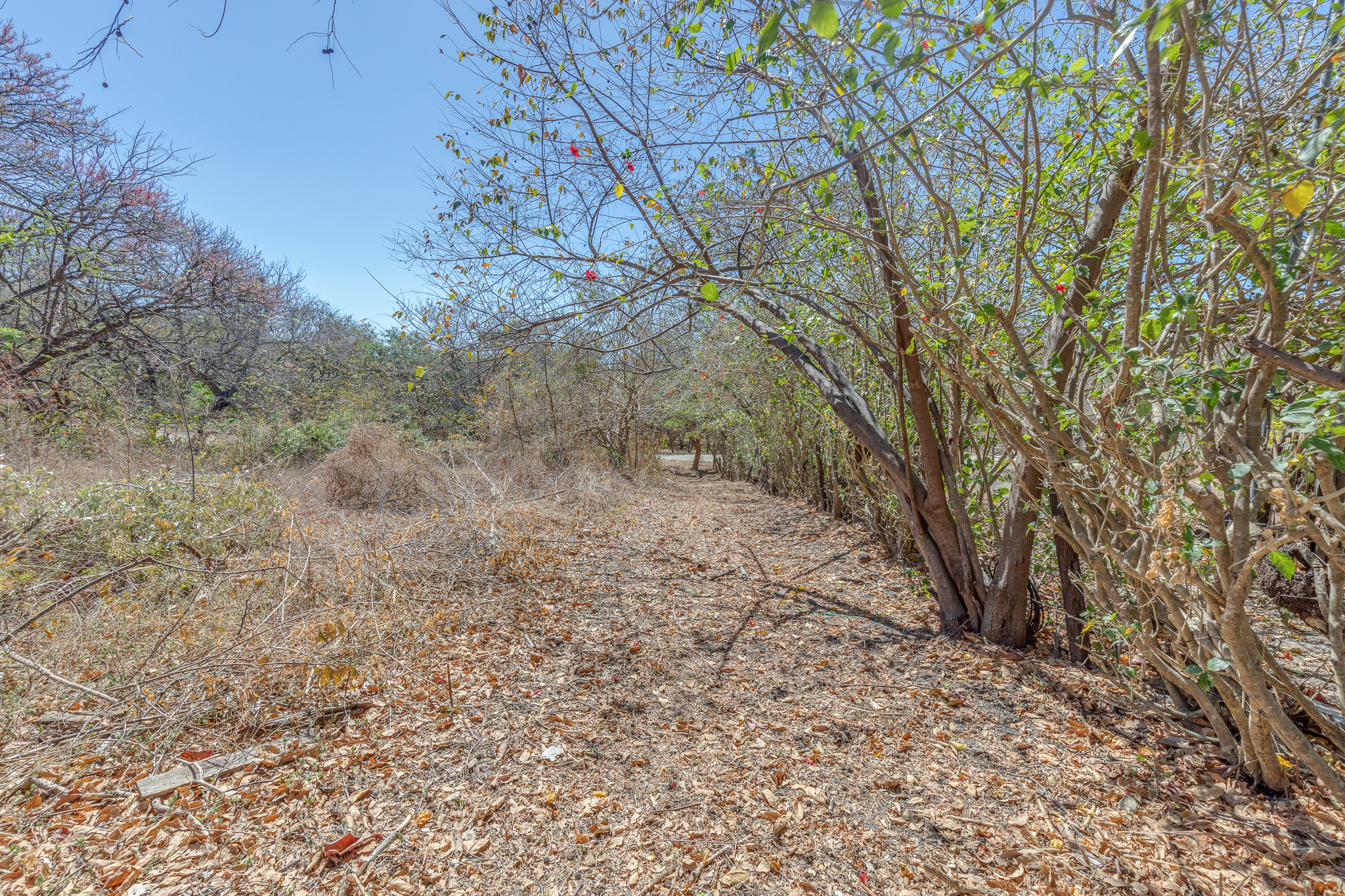 Playa Garza, Garza, Guanacaste, CR, ,Land,For Sale,Playa Garza,1587304