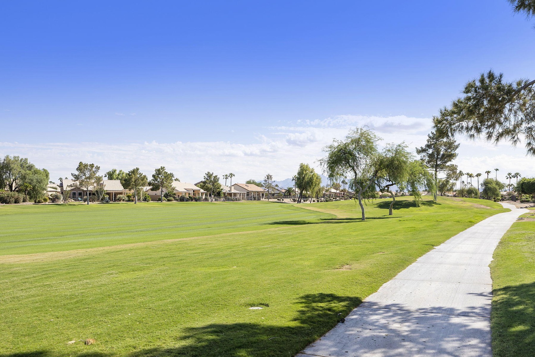  3365 N 153rd Drive¦Goodyear, AZ - 物件實景