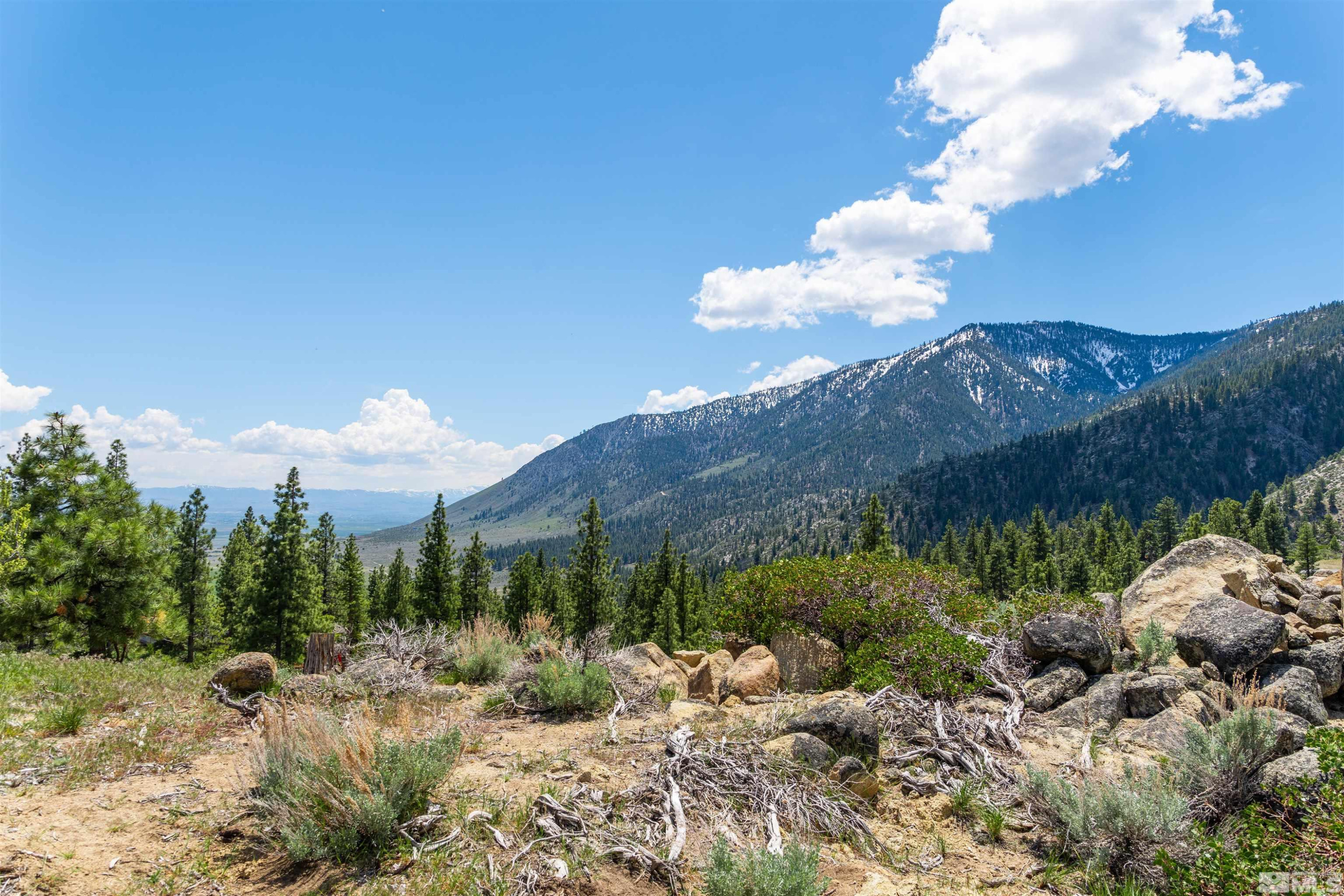 Carson City, Nevada, 89705, United States, ,Land,For Sale,1828130