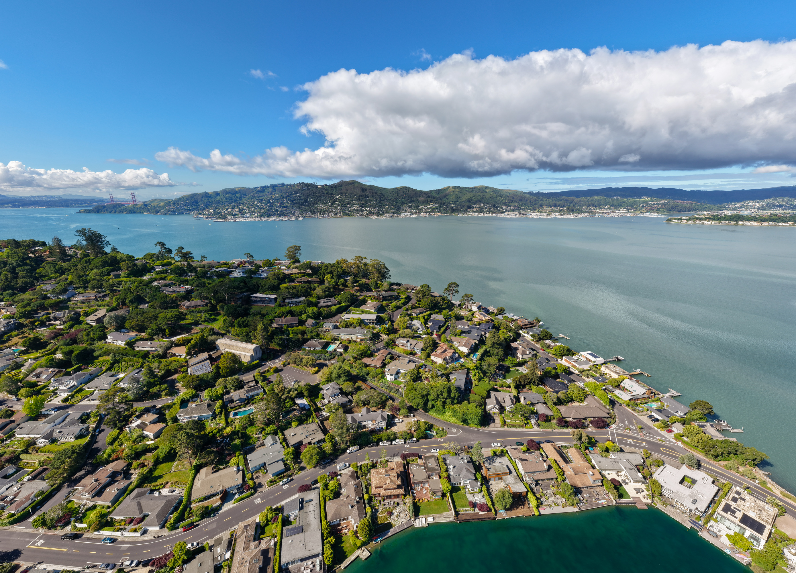  Single-Level Mid-Century Modern Home in the Coveted Flats of Belvedere - 物件實景