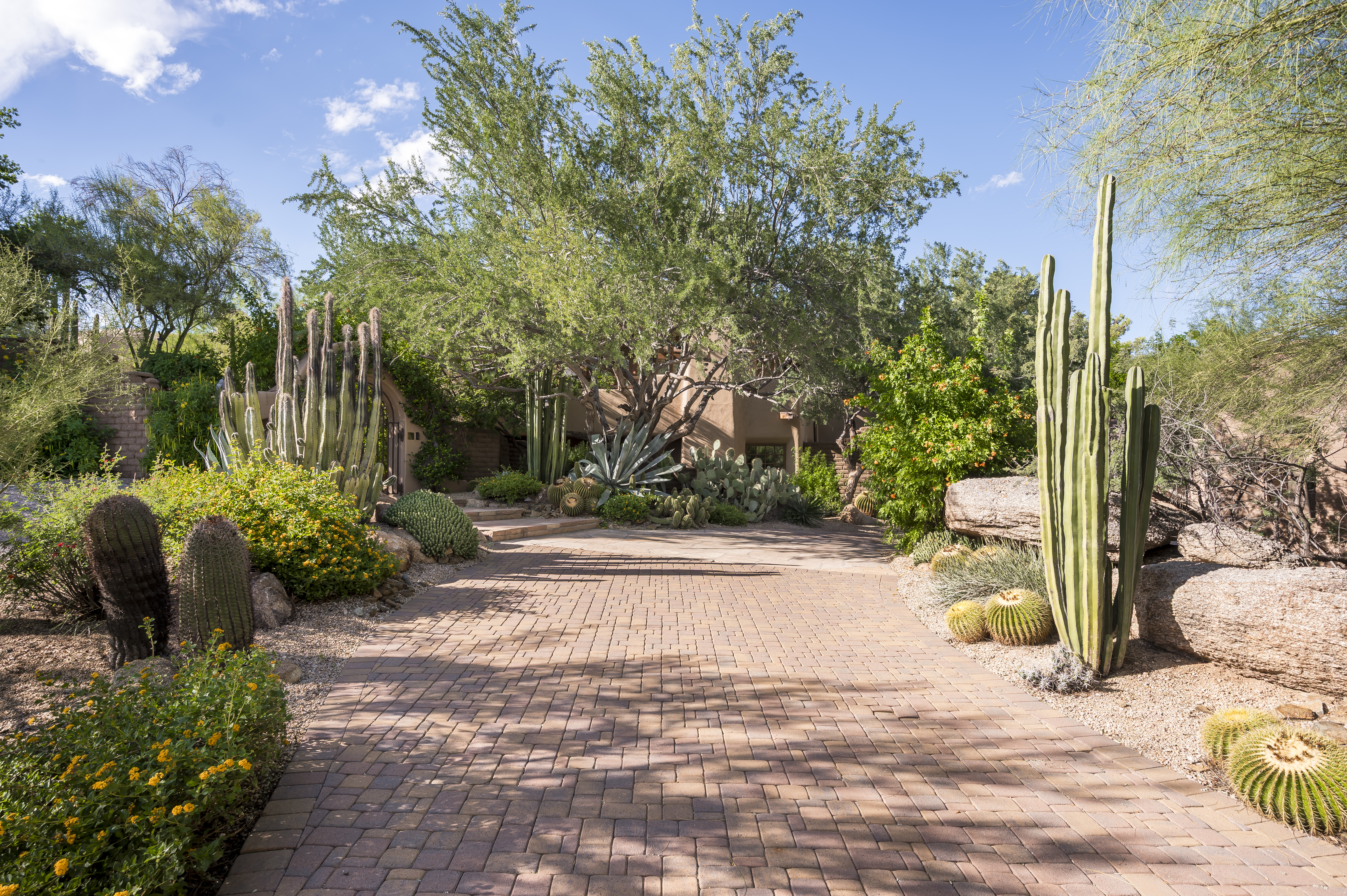  7416 E Arroyo Hondo Road¦Scottsdale, AZ - 物件實景