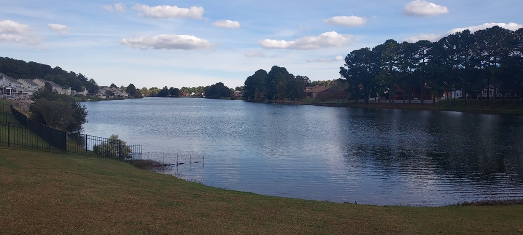 Chesapeake, Virginia, 23323, United States, 3 Bedrooms Bedrooms, ,3 BathroomsBathrooms,Residential,For Sale,1979311