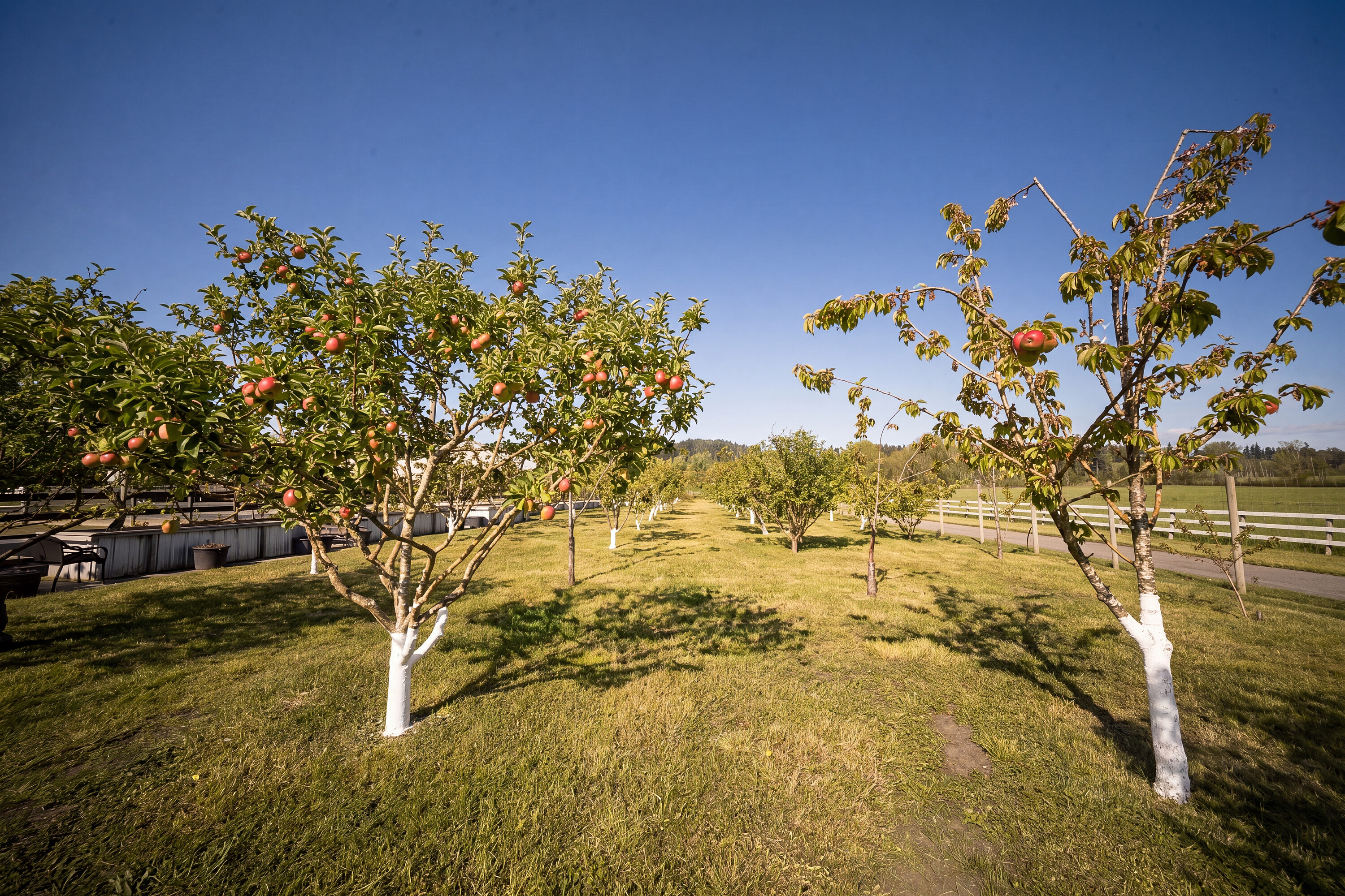  Exquisite Equestrian Estate - 物件實景