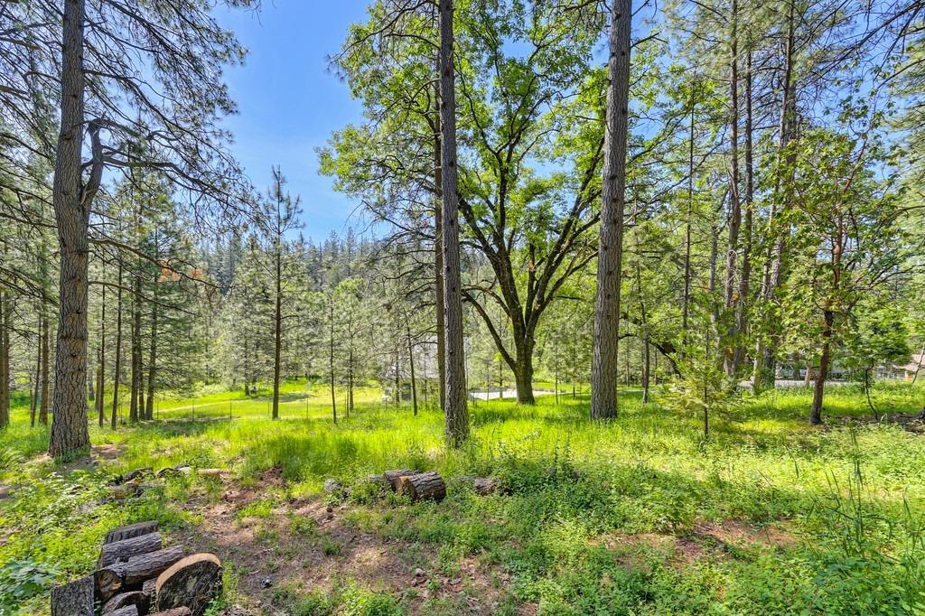 Foresthill, California, 95631, United States, 3 Bedrooms Bedrooms, ,2 BathroomsBathrooms,Residential,For Sale,1819375
