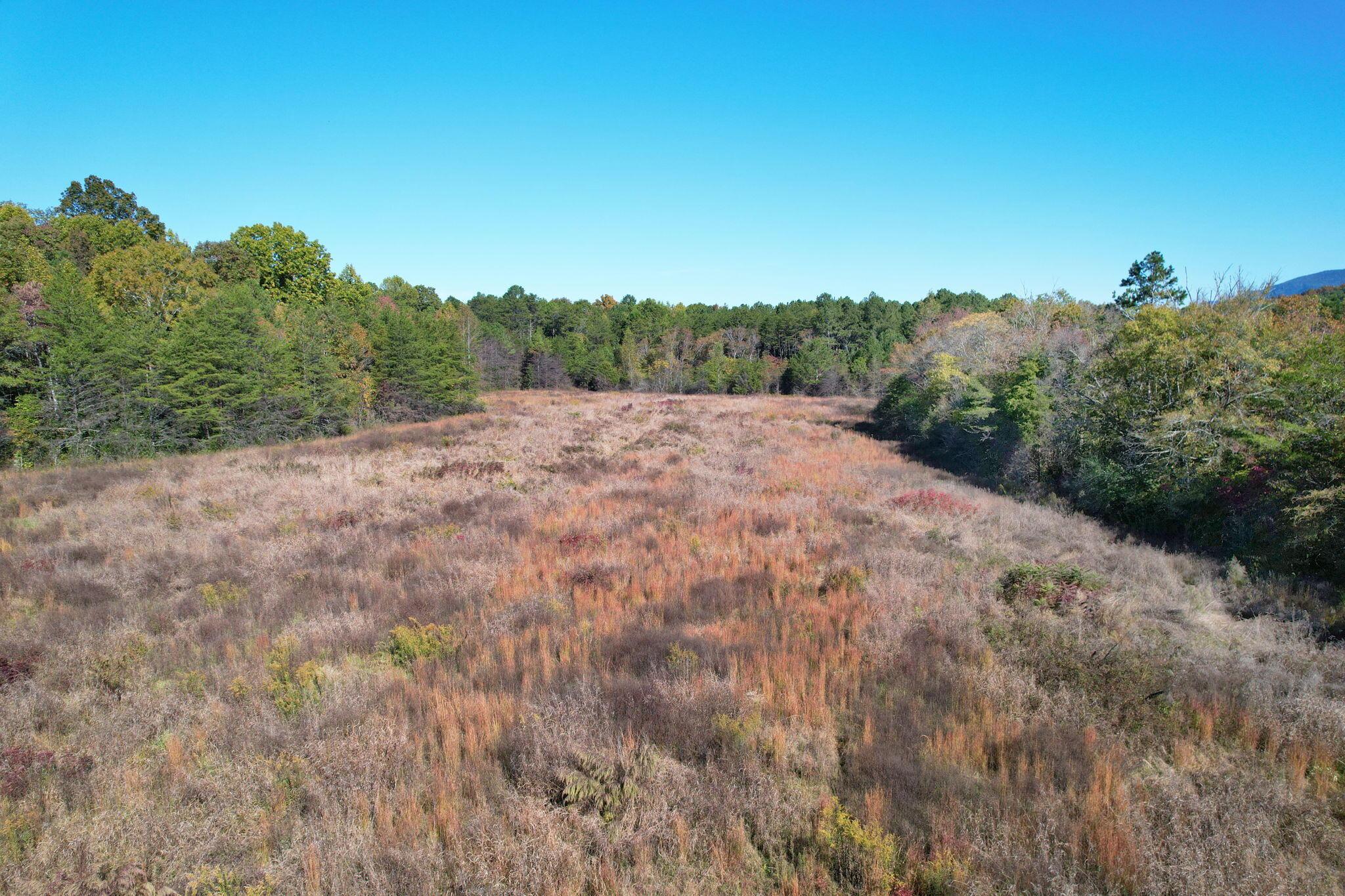 1379 Sand Mountain Road, Ocoee, Tennessee, 37361, United States, ,Residential,For Sale,1379 Sand Mountain Road,1649302