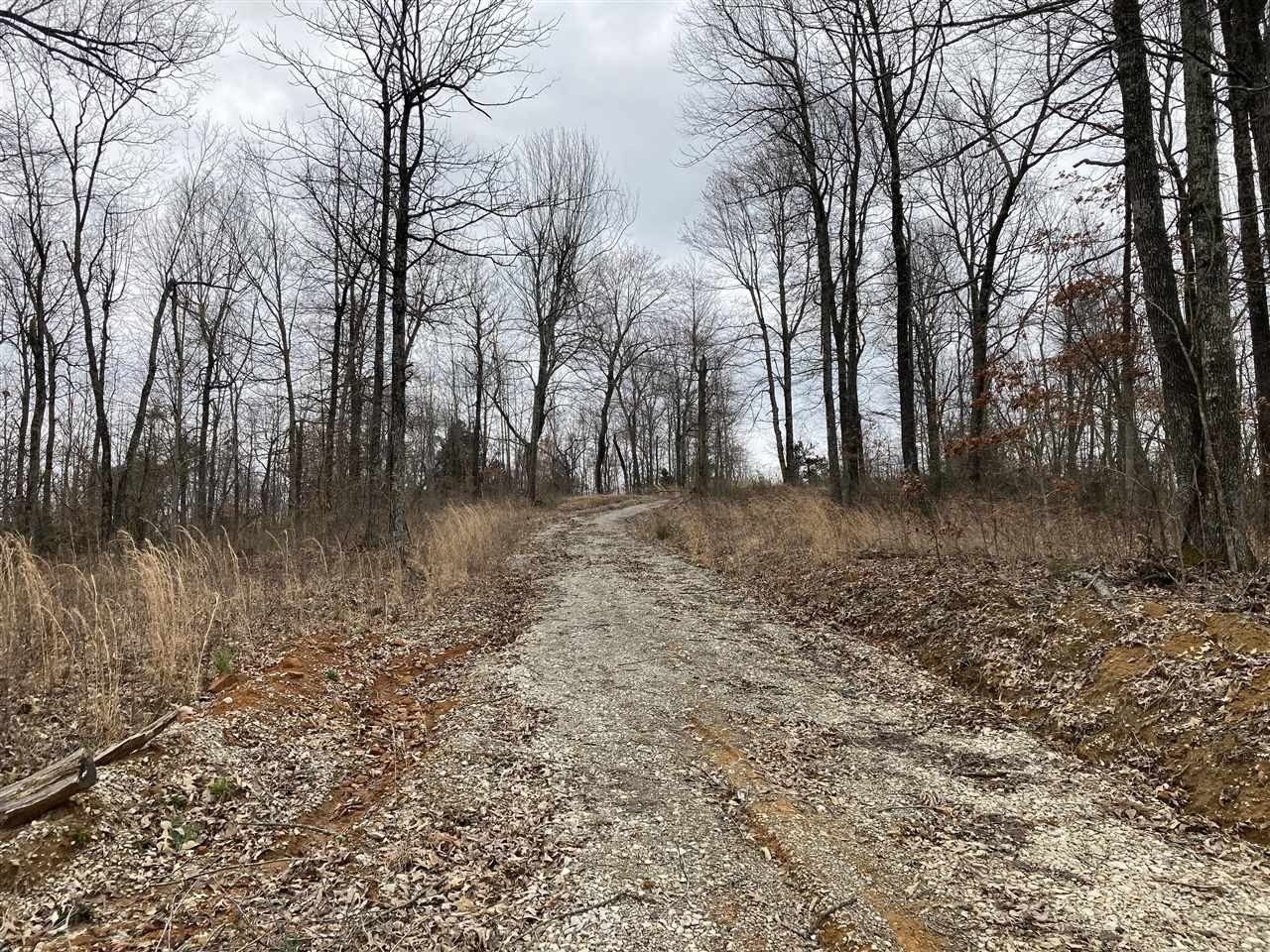Clarkson, Kentucky, 42726, United States, ,Land,For Sale,1828562