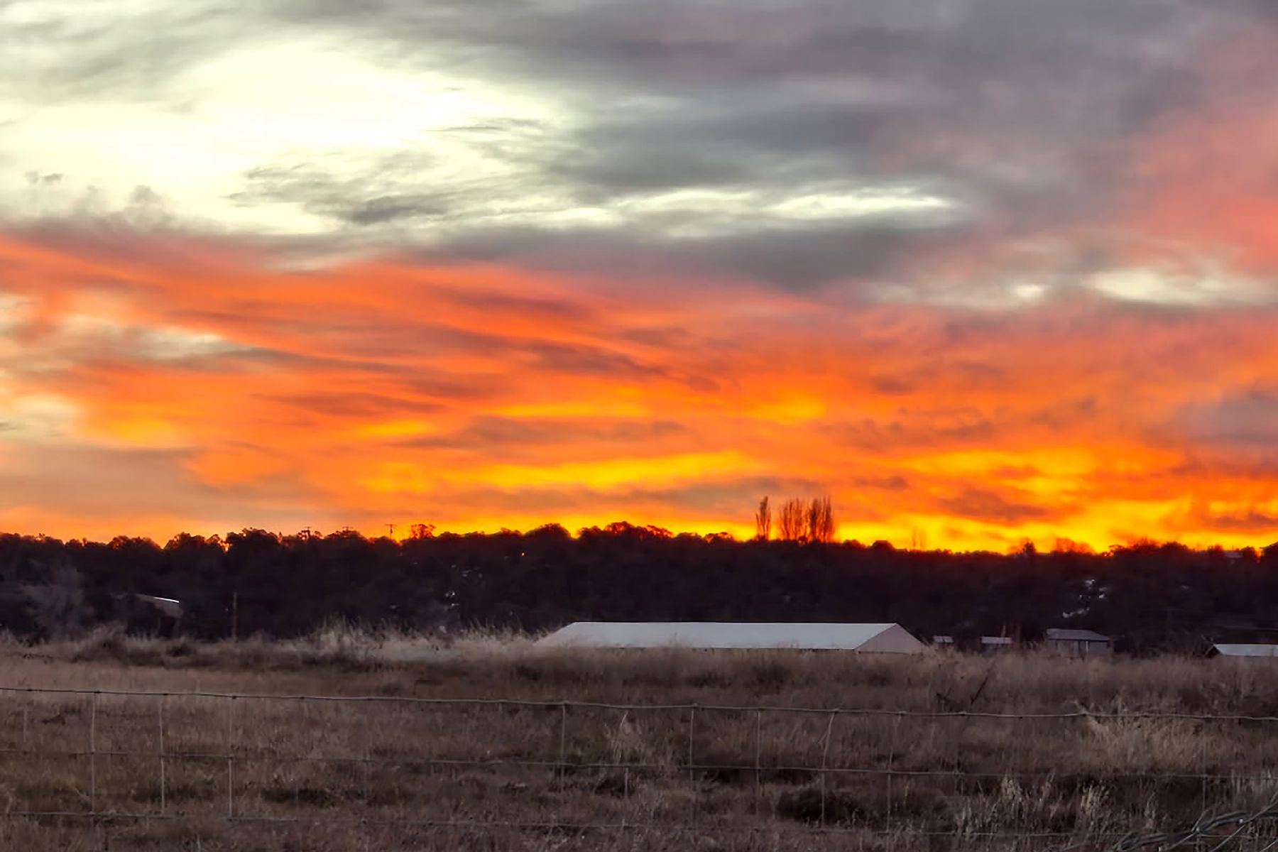  669 Broken Wheel Drive, Durango, CO 81303 - 物件實景