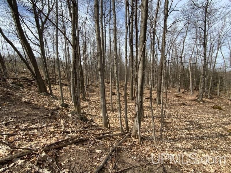 TBD W US 41, Marquette, Michigan, 49855, United States, ,Residential,For Sale,TBD W US 41,1601608