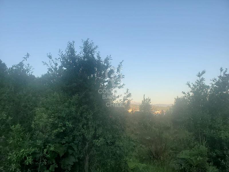 Puerto Montt, Chile, ,Land,For Sale,1993080