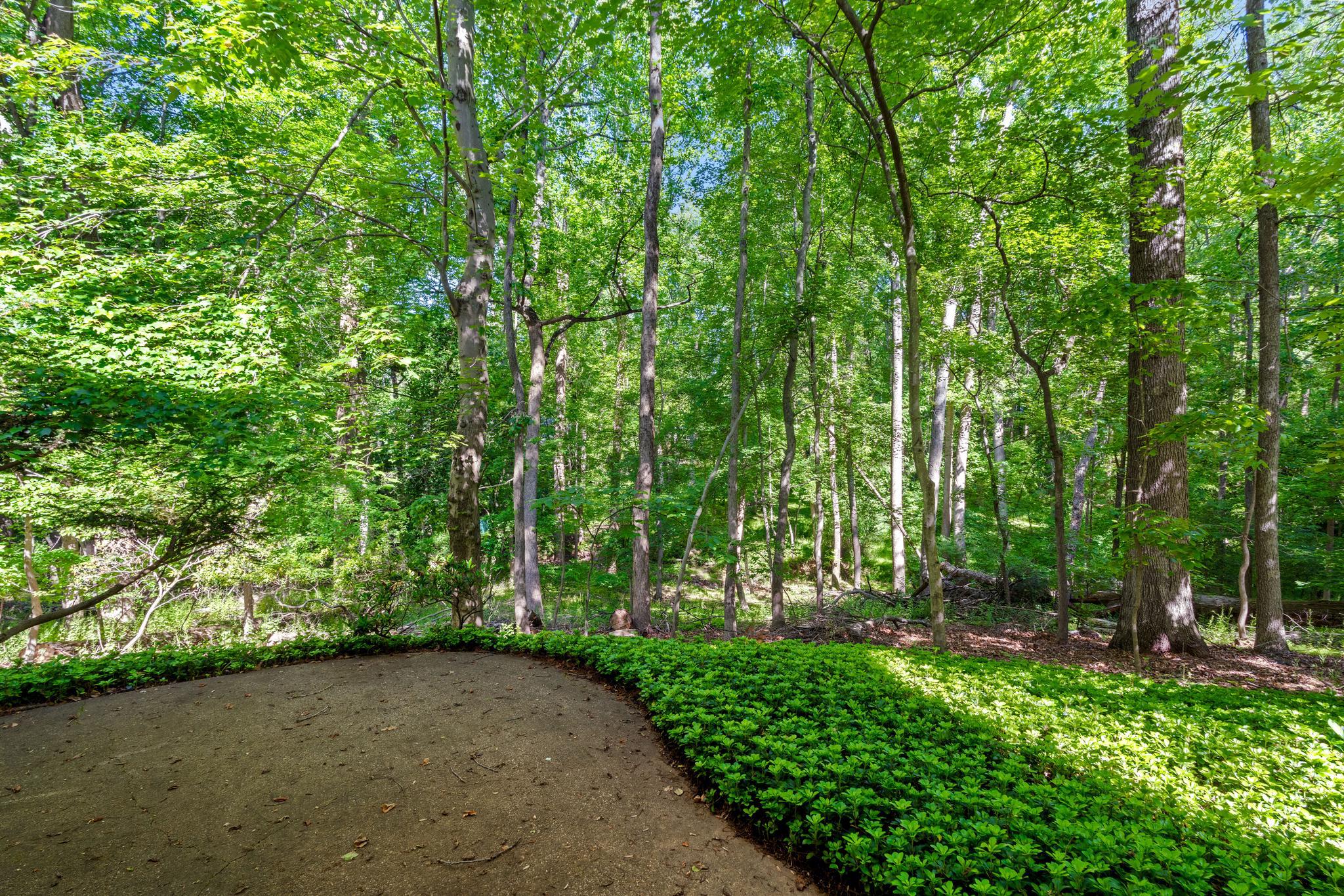  12520 Davan Drive, Silver Spring, MD, 20904 - 物件實景