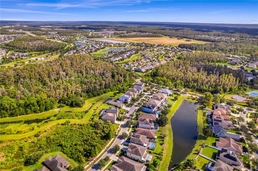 Tampa, Florida, 33647, United States, 5 Bedrooms Bedrooms, ,3 BathroomsBathrooms,Residential,For Sale,1987732