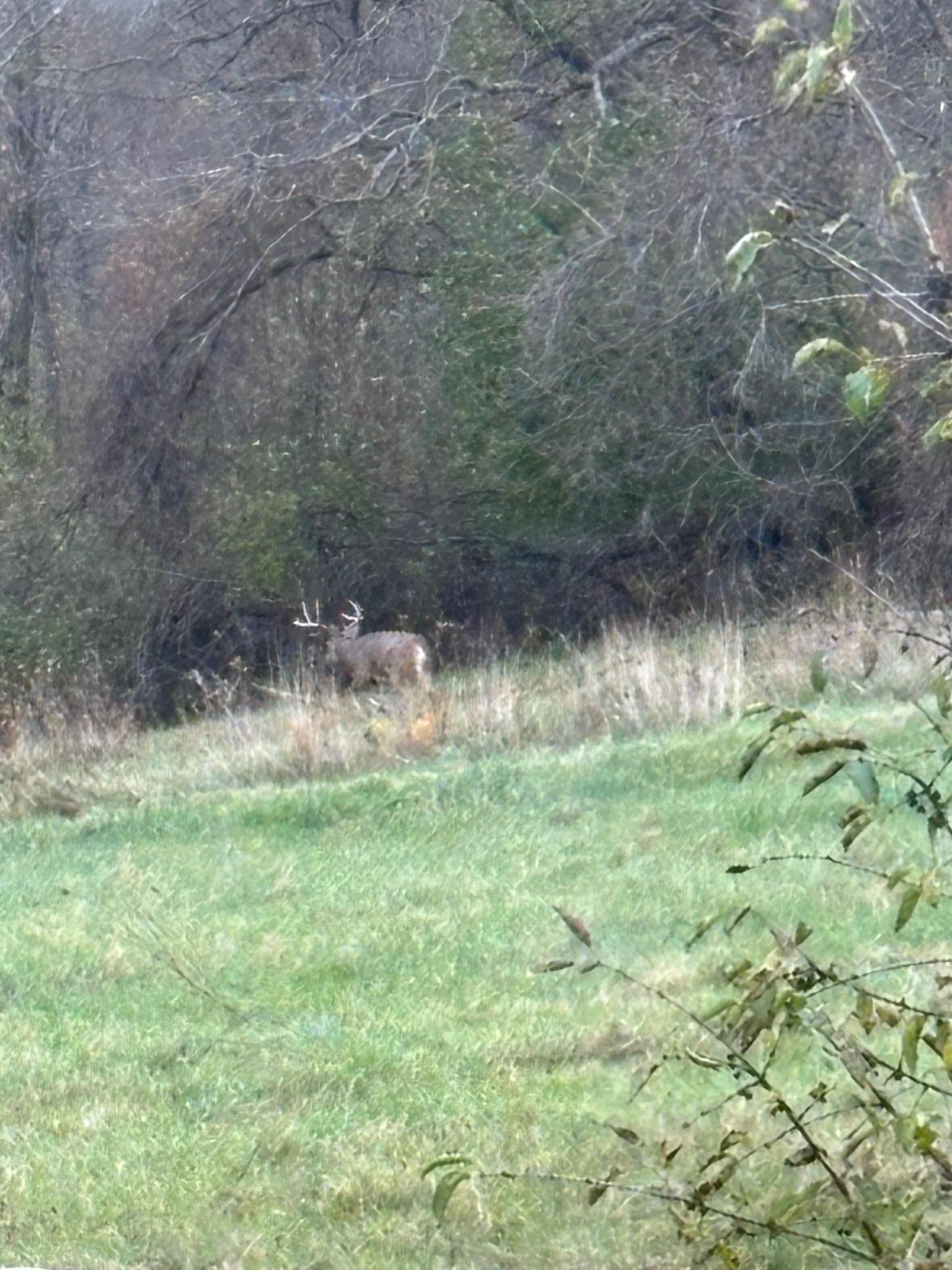 Winona, Minnesota, 55987, United States, 5 Bedrooms Bedrooms, ,2 BathroomsBathrooms,Residential,For Sale,2005788