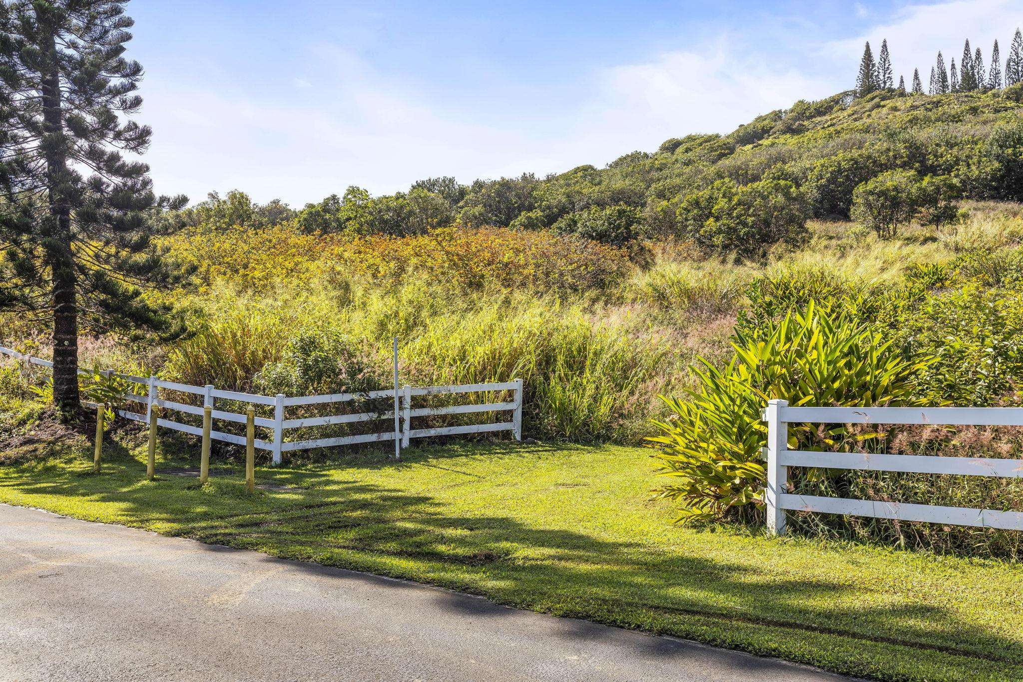 63 Lahaole Pl, Wailuku, Hawaii, 96793, United States, ,Land,For Sale,63 Lahaole Pl,1676772