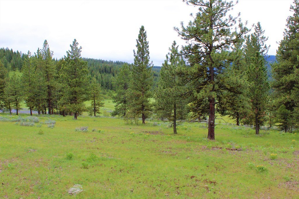 New Meadows, Idaho, 83654, United States, 1 Bedroom Bedrooms, ,1 BathroomBathrooms,Residential,For Sale,1979050