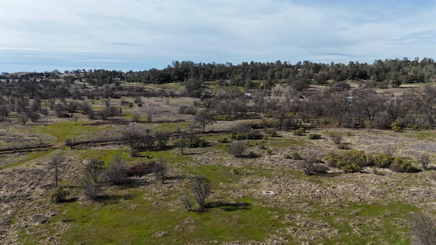 Cool, California, 95614, United States, ,Land,For Sale,1994251