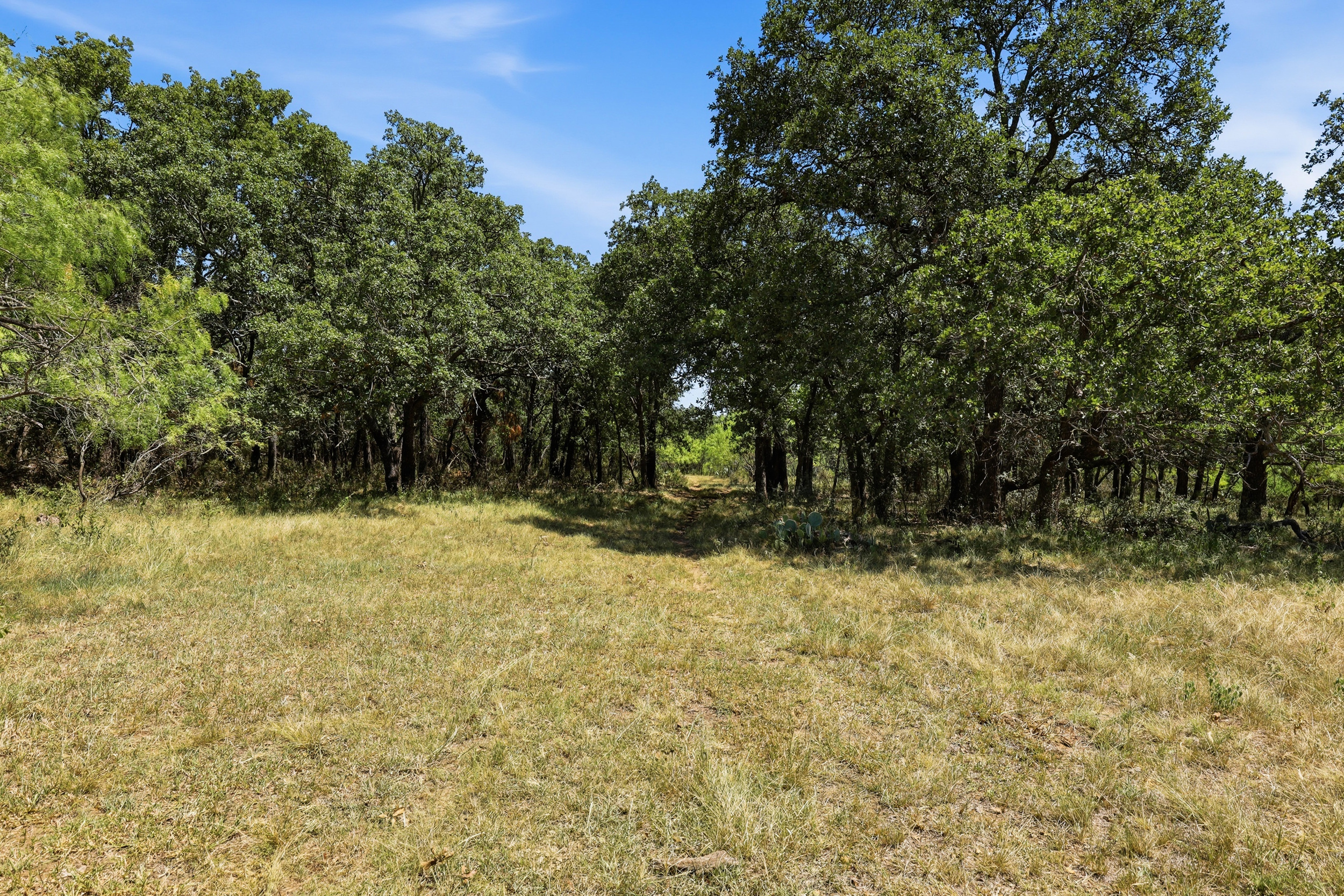  125 Acres of Texas Land for Recreation and Retreat - 物件實景