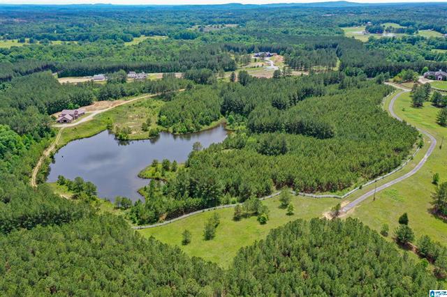 Columbiana, Alabama, 35051, United States, 3 Bedrooms Bedrooms, ,2 BathroomsBathrooms,Residential,For Sale,1975847