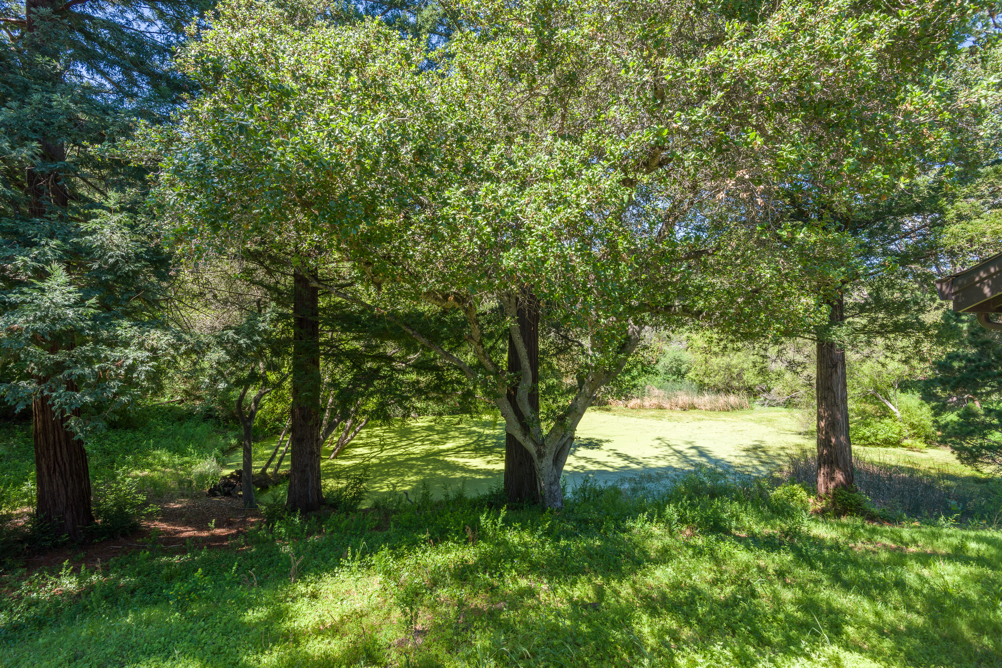  90 Hayfields Road, Portola Valley, CA 94028 - 物件實景