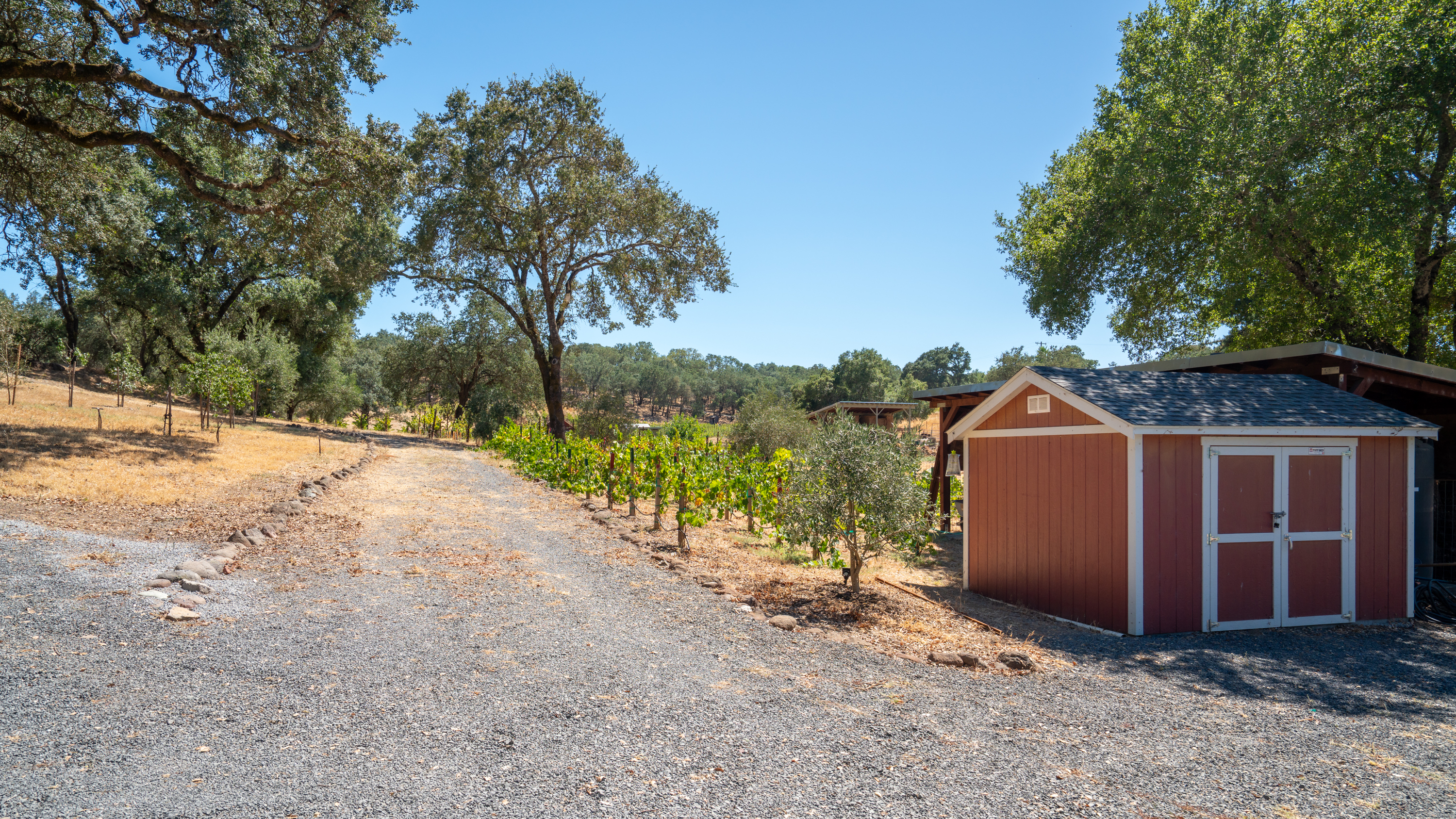  Rare Opportunity in Alexander Valley - 物件實景