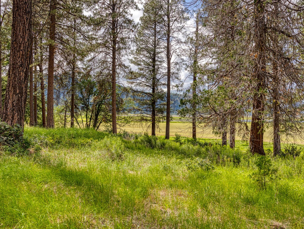 Klamath Falls, Oregon, 97601, United States, ,Land,For Sale,1793869