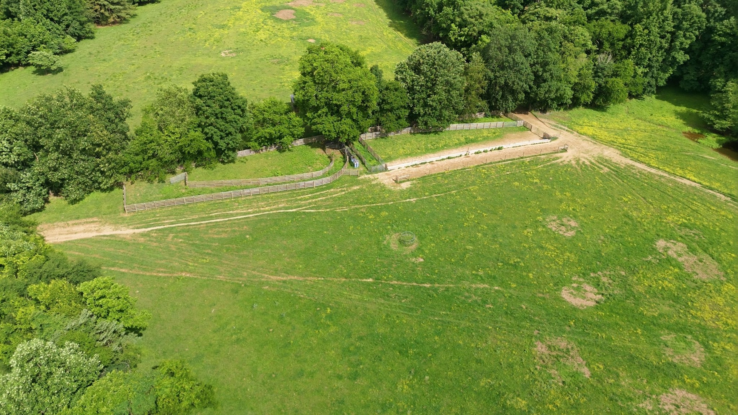  925 Sumac Rd, Pulaski, TN, 38478 - 物件實景